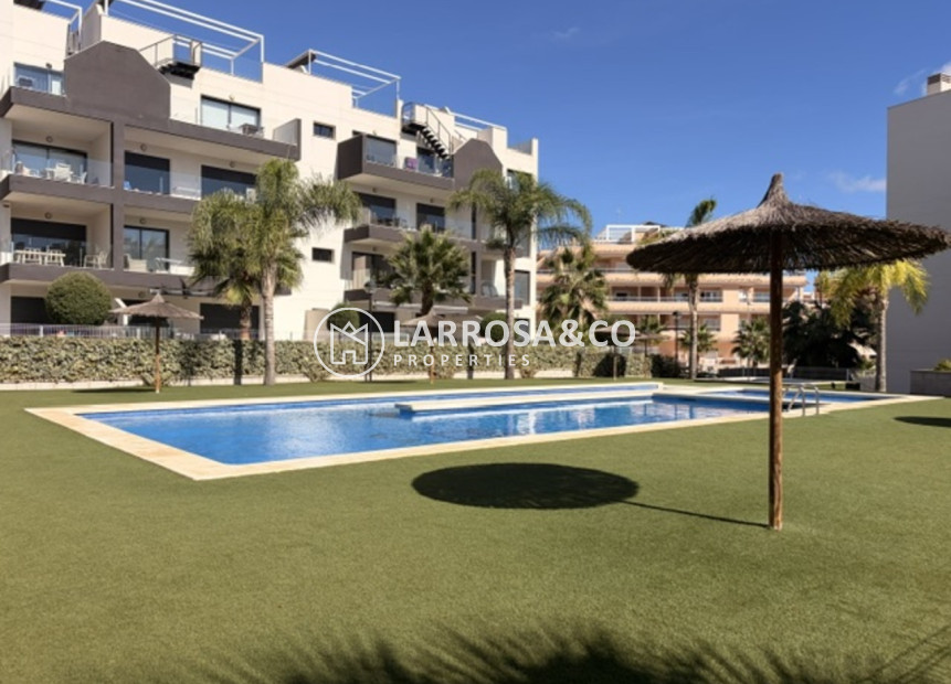 Reventa - Apartamento - Villamartin - Costa Blanca