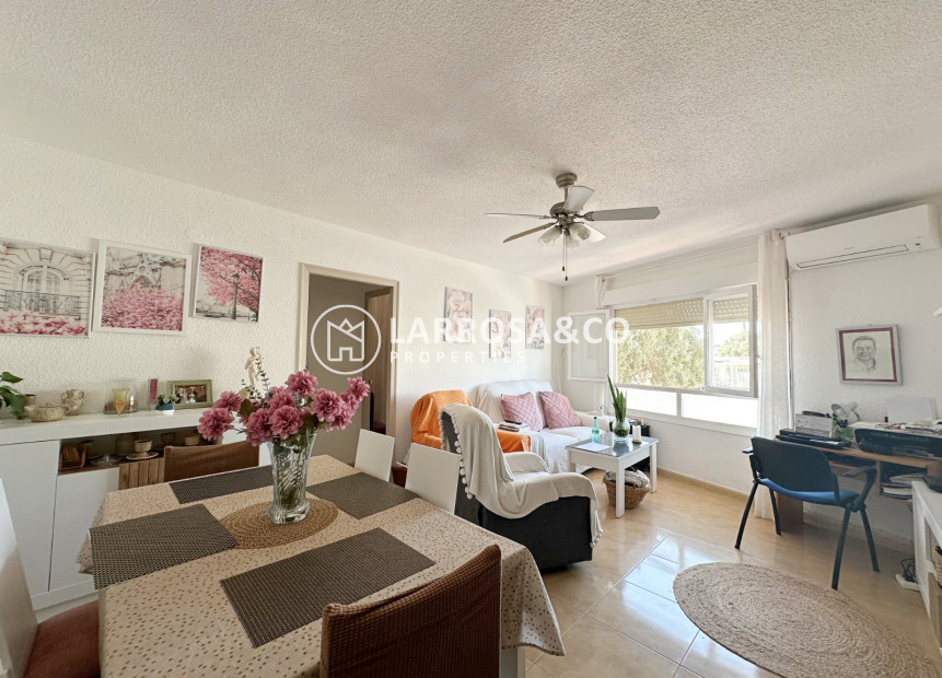 Reventa - Apartment / Duplex - Torrevieja - torrevieja