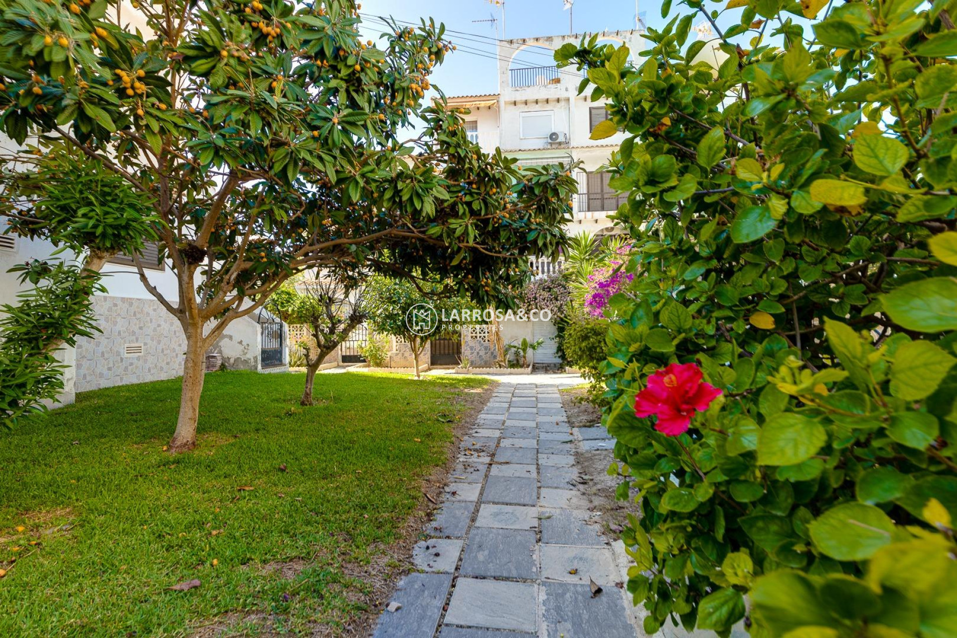 Reventa - Atico - Torrevieja - Calas blanca