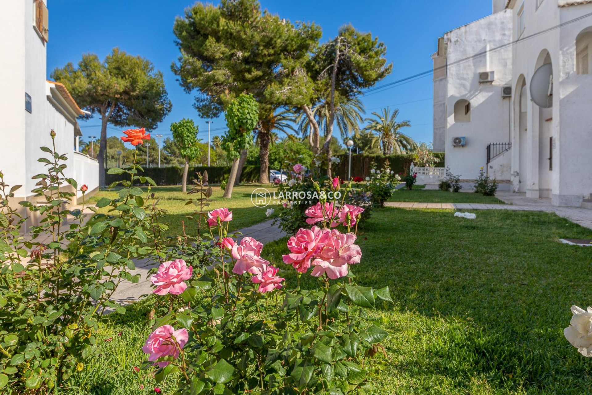 Reventa - Atico - Torrevieja - Calas blanca