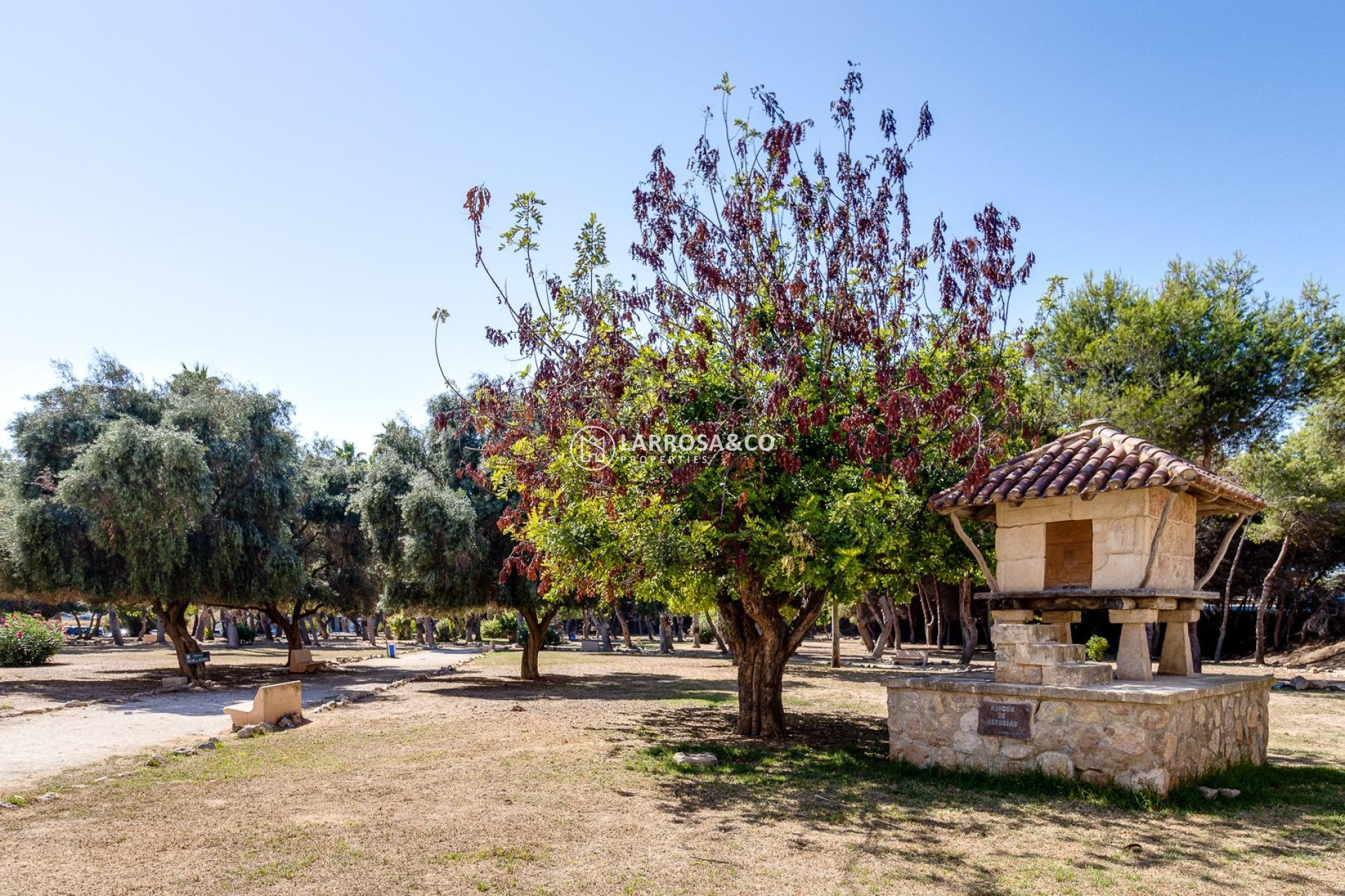 Reventa - Atico - Torrevieja - Centro