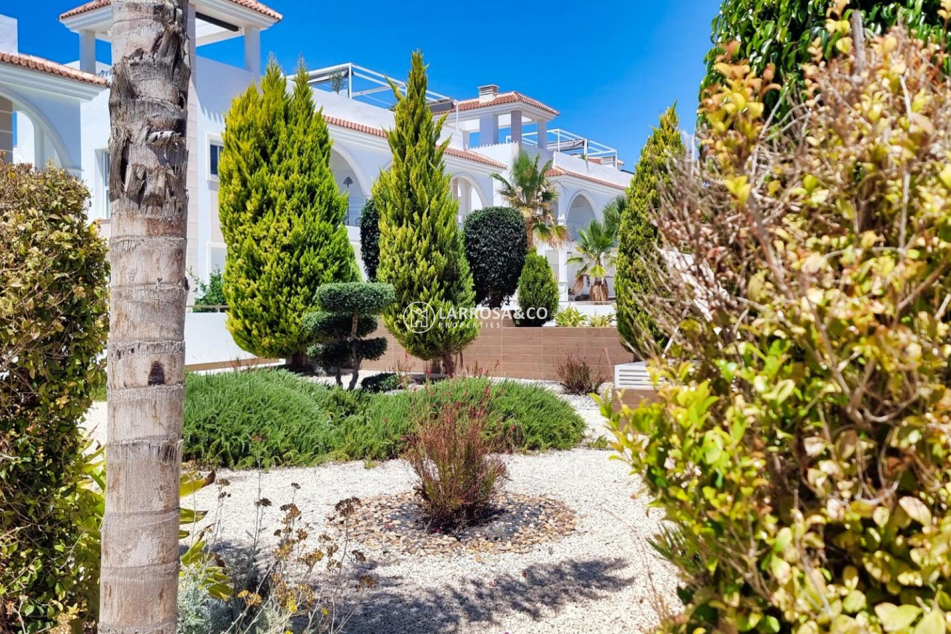 Reventa - Bungalow - Ciudad Quesada - Costa Blanca