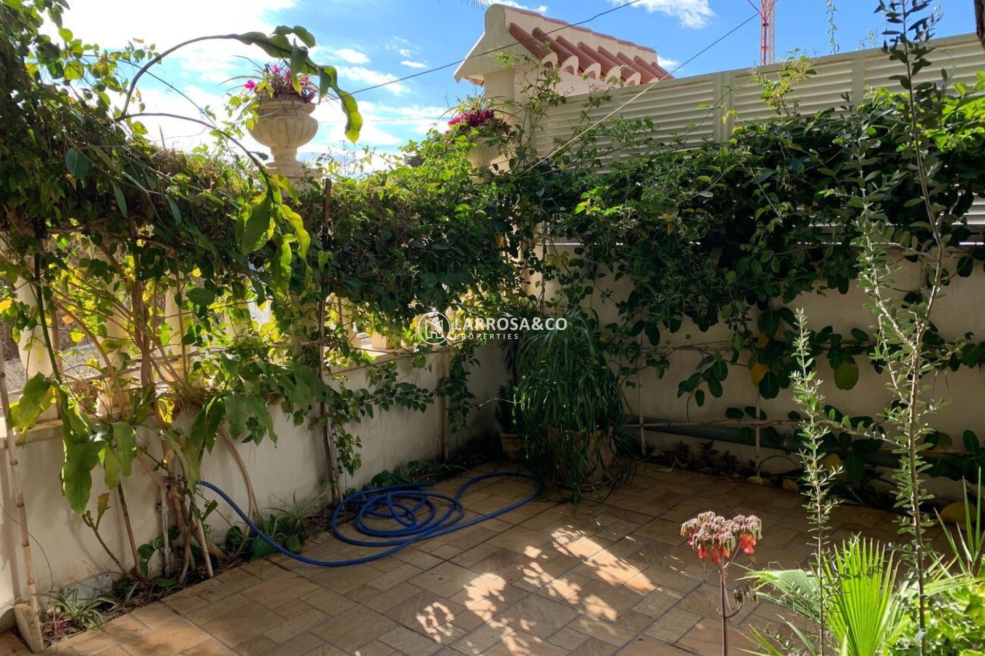 Reventa - Bungalow - La Zenia - Costa Blanca