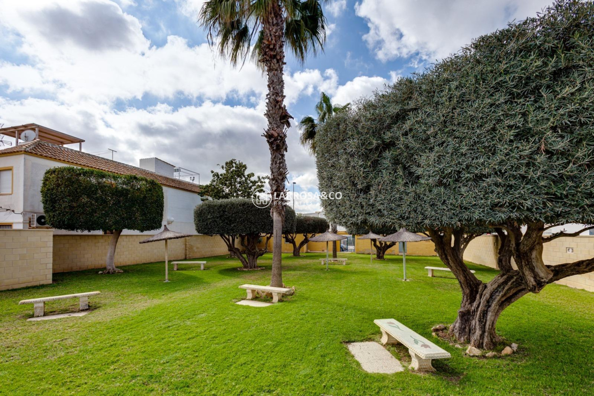 Reventa - Bungalow - Torrevieja - Doña ines