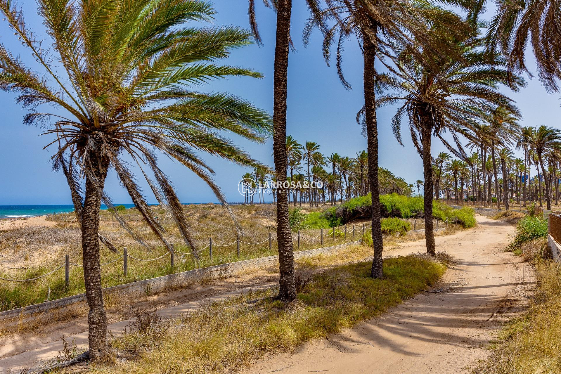 Reventa - Bungalow - Torrevieja - Mar azul