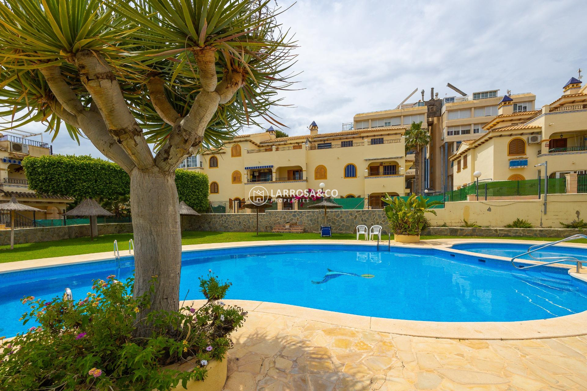 Reventa - Bungalow - Torrevieja - Torre la mata