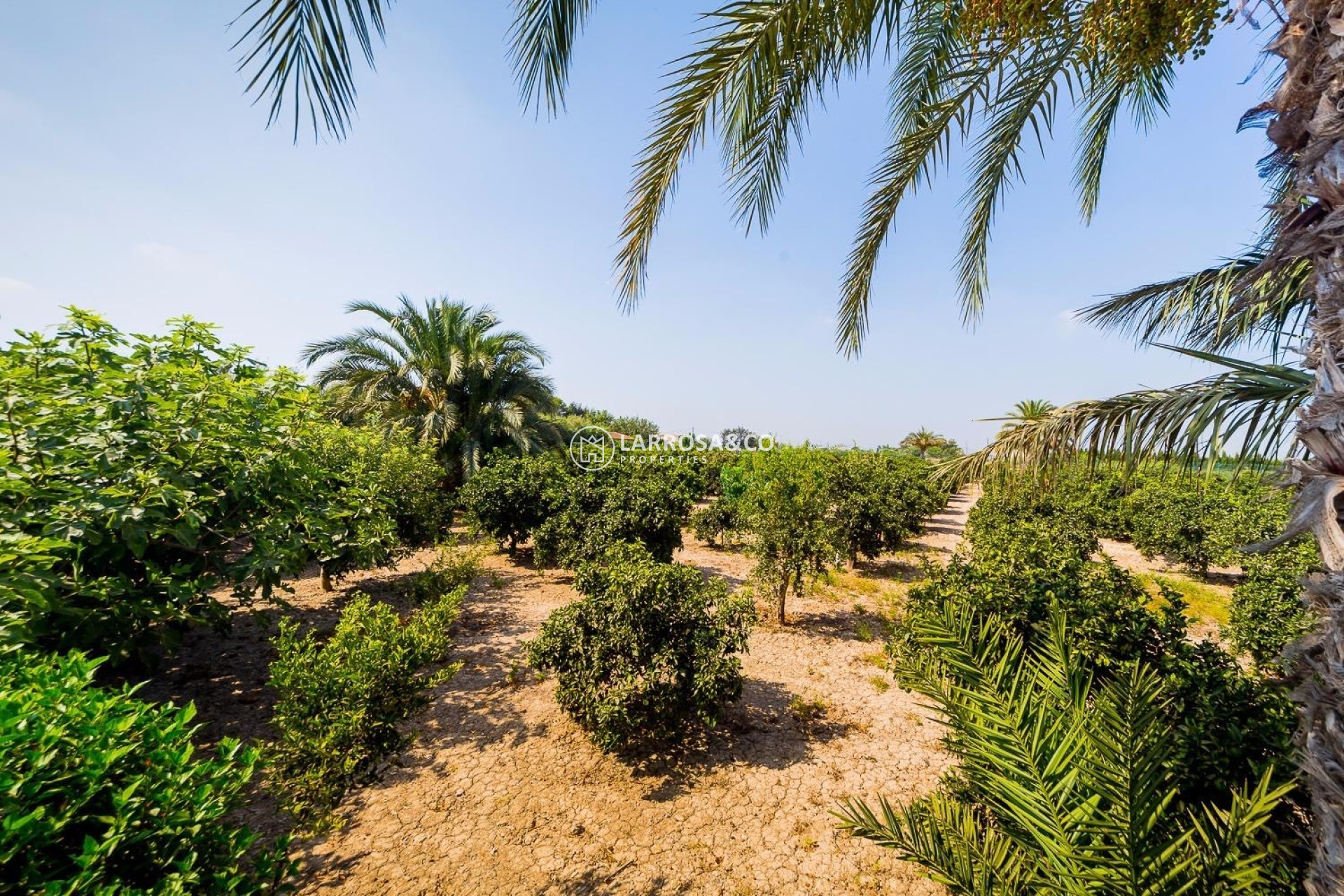 Reventa - Casa de campo - Almoradí - Inland