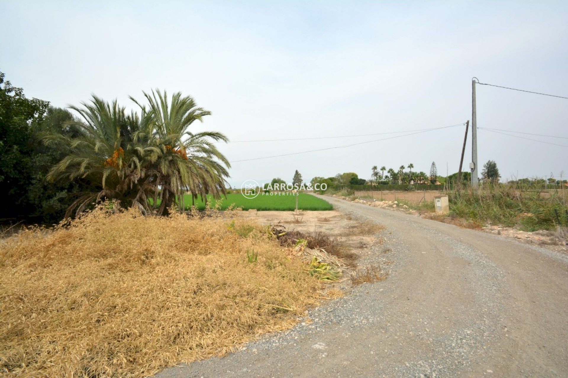 Reventa - Casa de campo - Almoradí