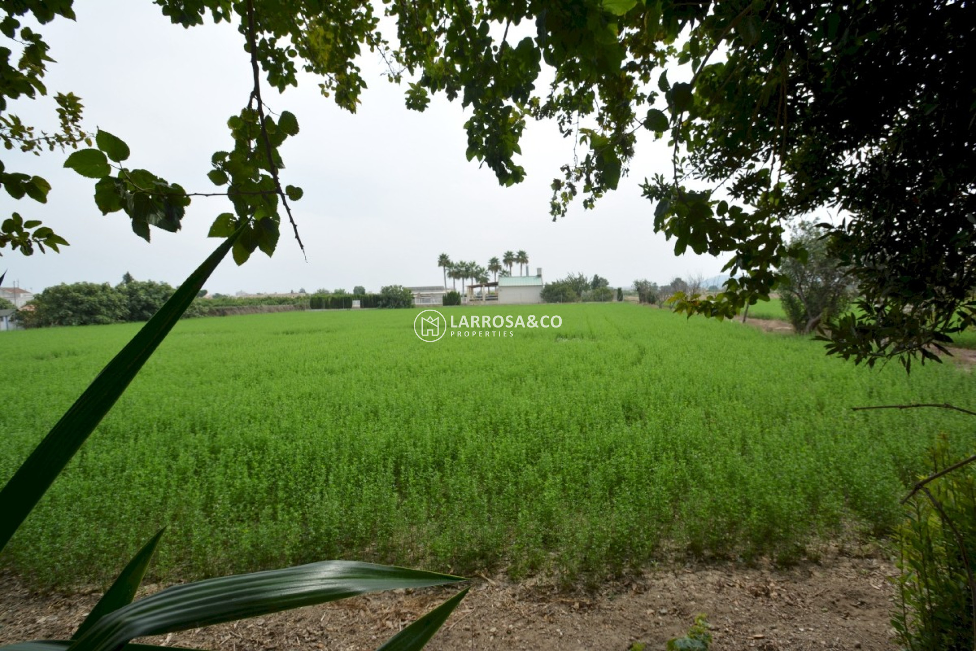 Reventa - Casa de campo - Almoradí