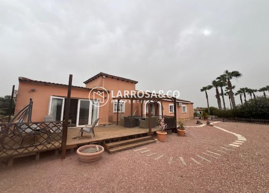 Reventa - Casa de campo - Dolores - Comunidad valenciana