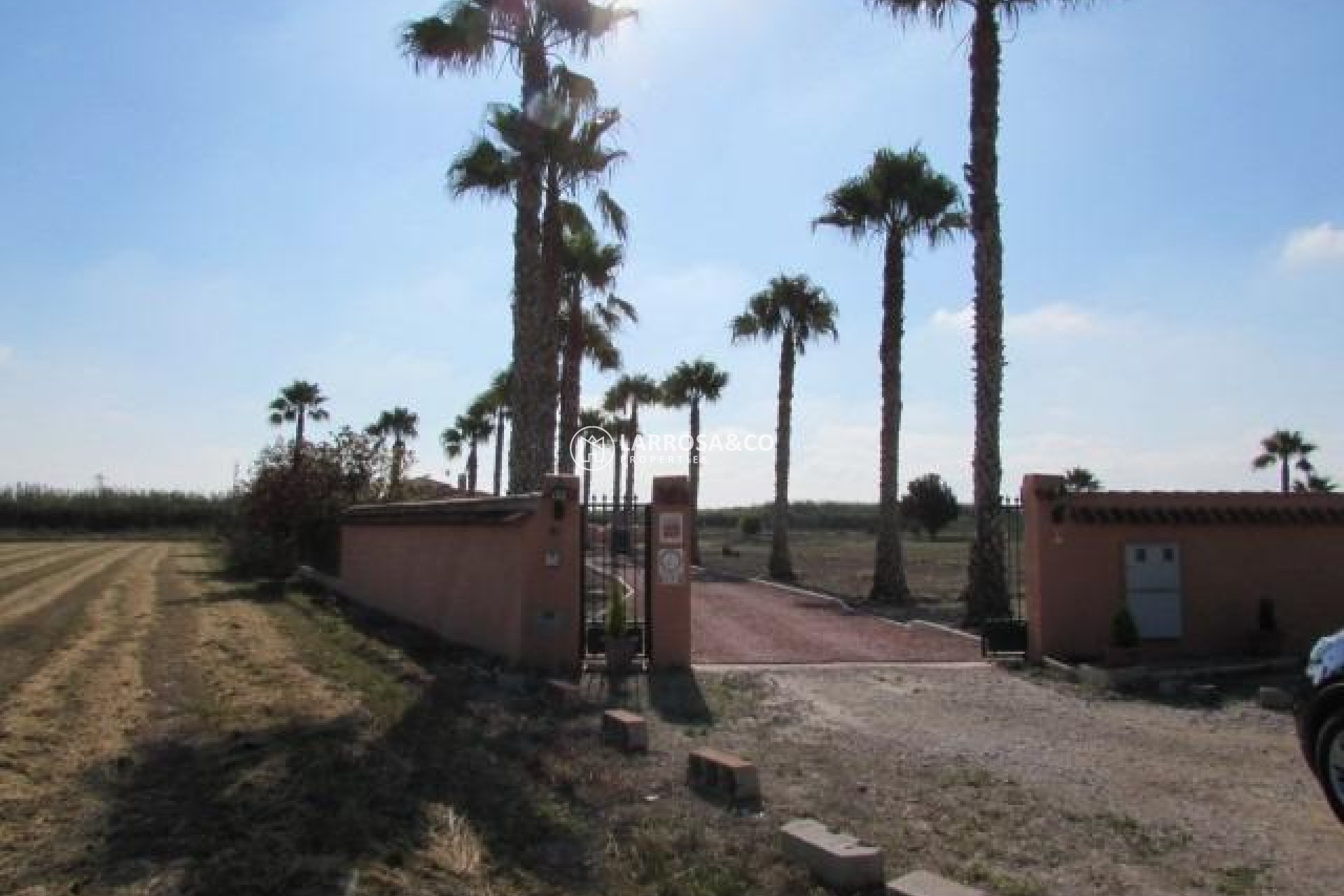 Reventa - Casa de campo - Dolores - Comunidad valenciana