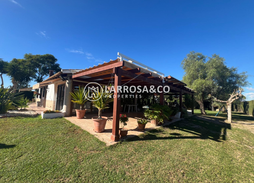 Reventa - Casa de campo - Dolores - Comunidad valenciana