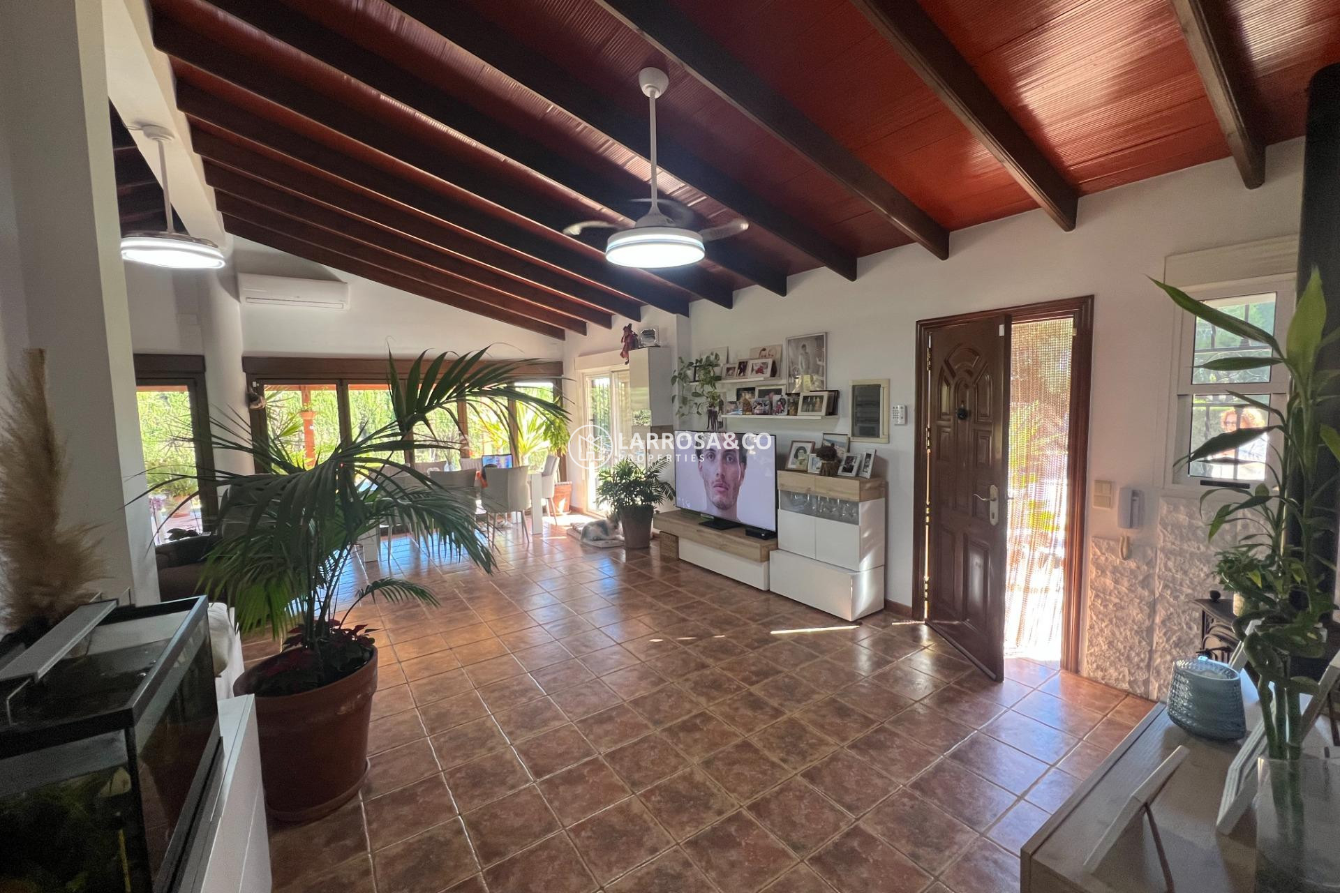 Reventa - Casa de campo - Dolores - Comunidad valenciana