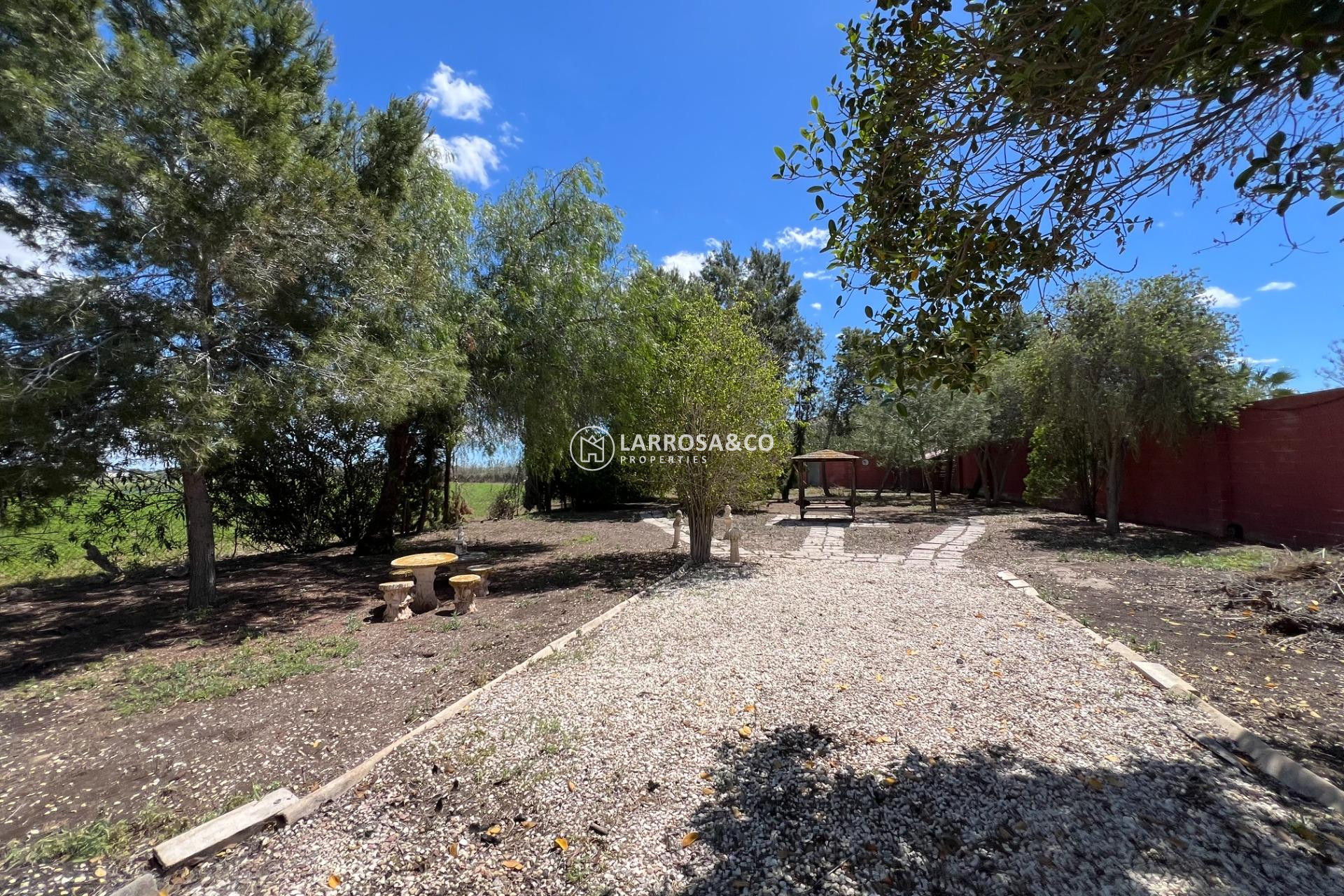 Reventa - Casa de campo - Dolores - Comunidad valenciana