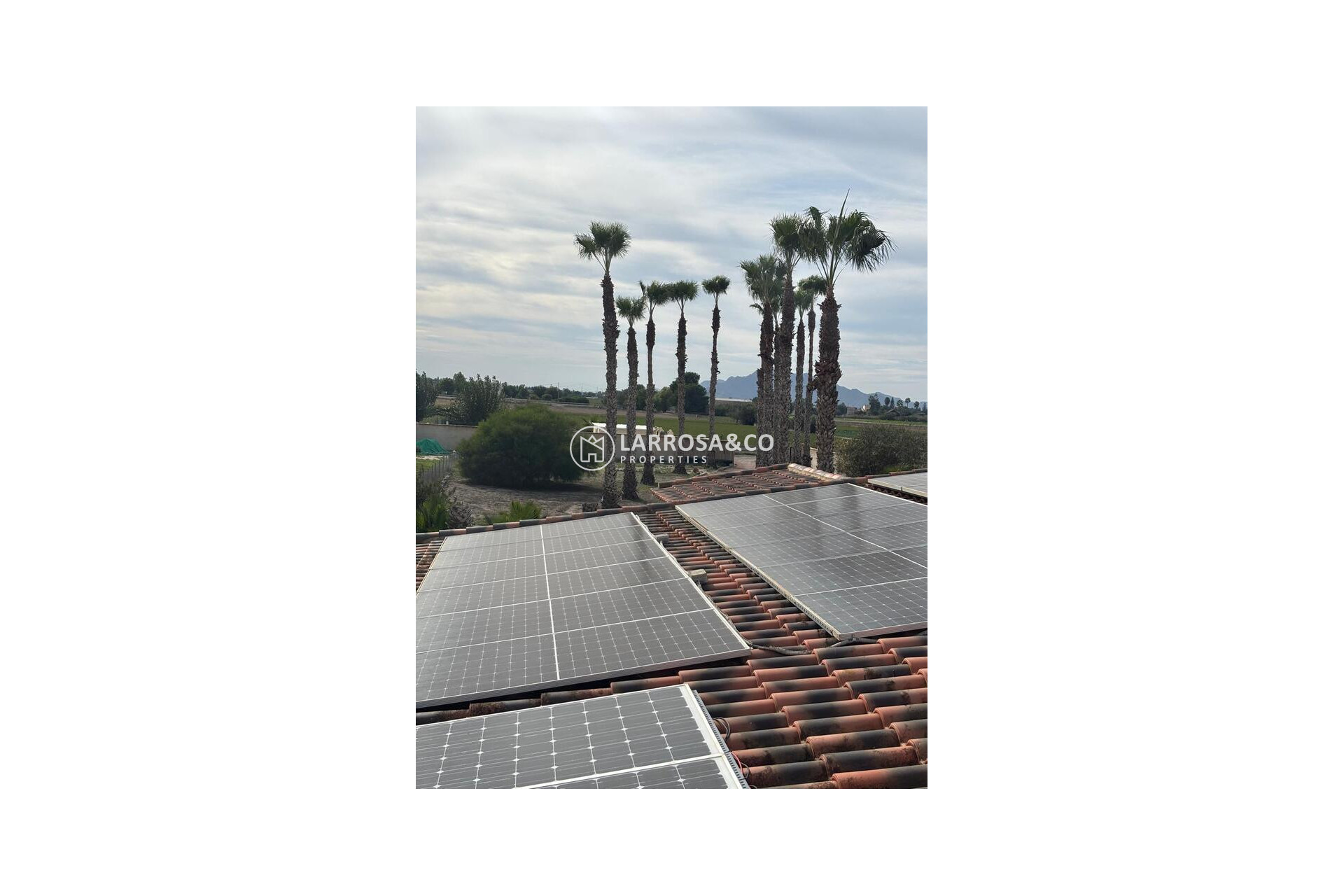 Reventa - Casa de campo - Dolores - Costa Blanca