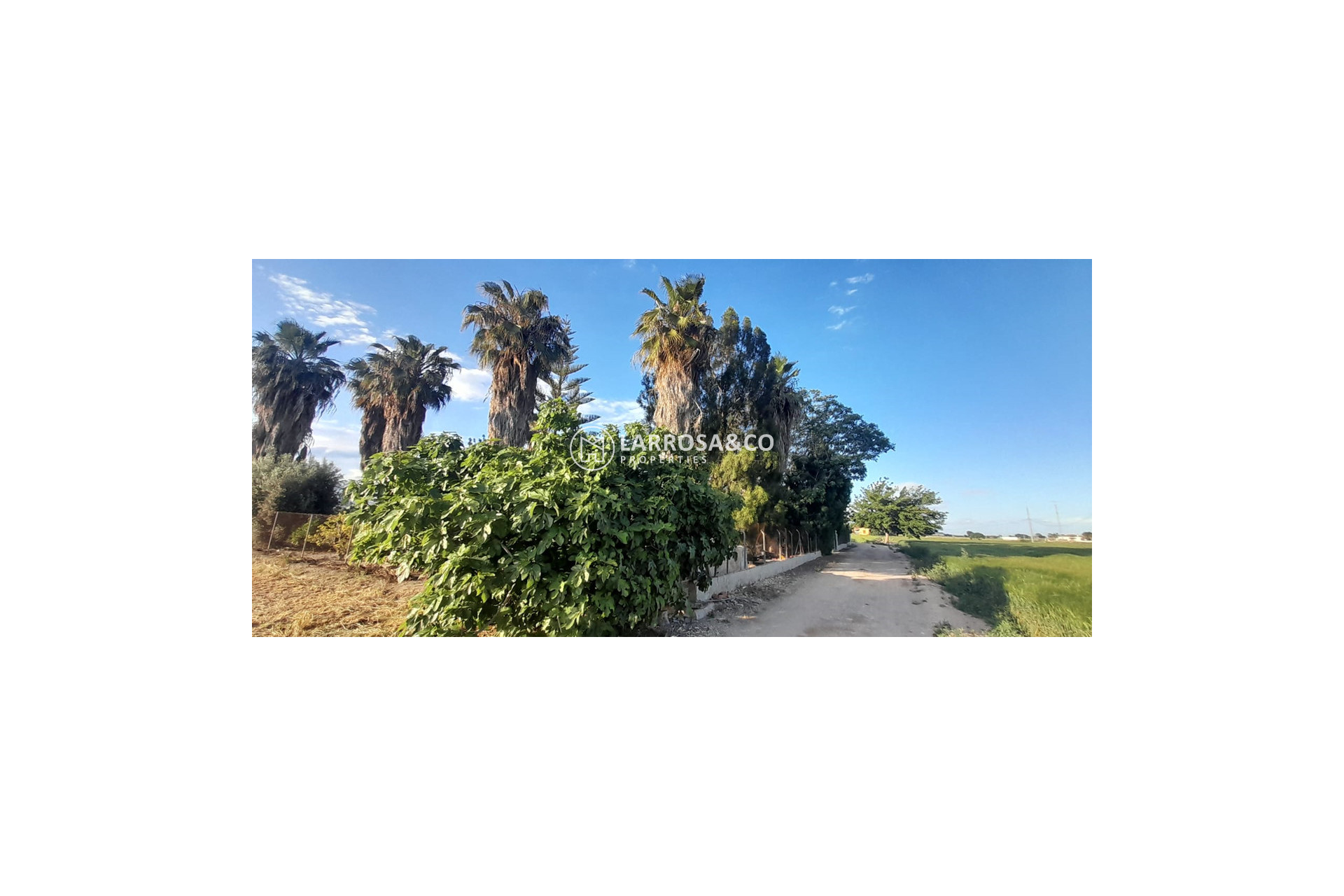 Reventa - Casa de campo - Dolores