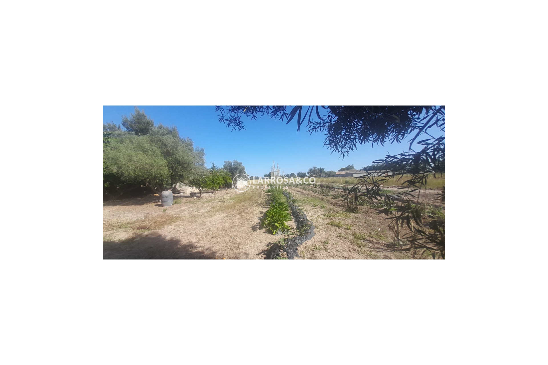 Reventa - Casa de campo - Dolores