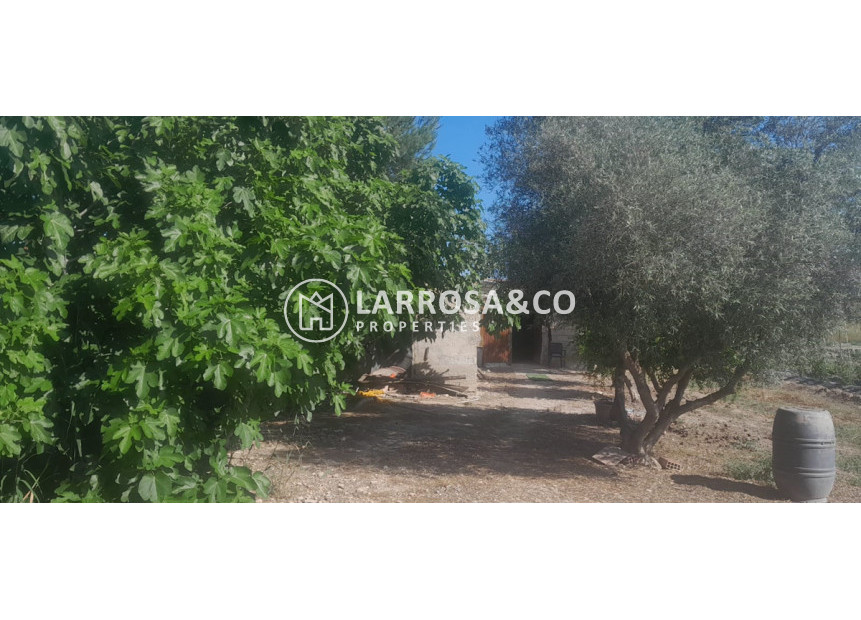 Reventa - Casa de campo - Dolores