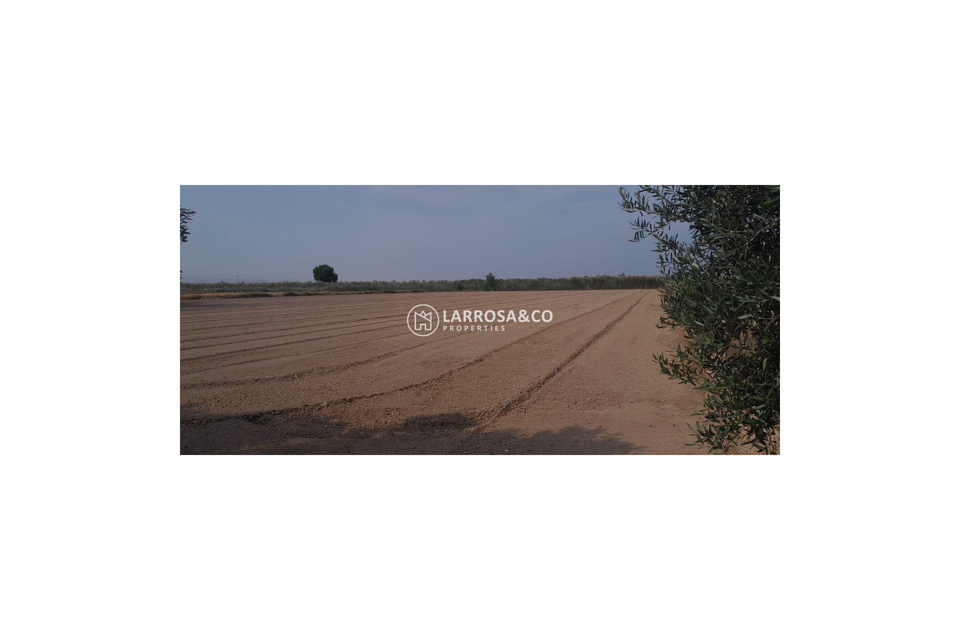 Reventa - Casa de campo - Dolores