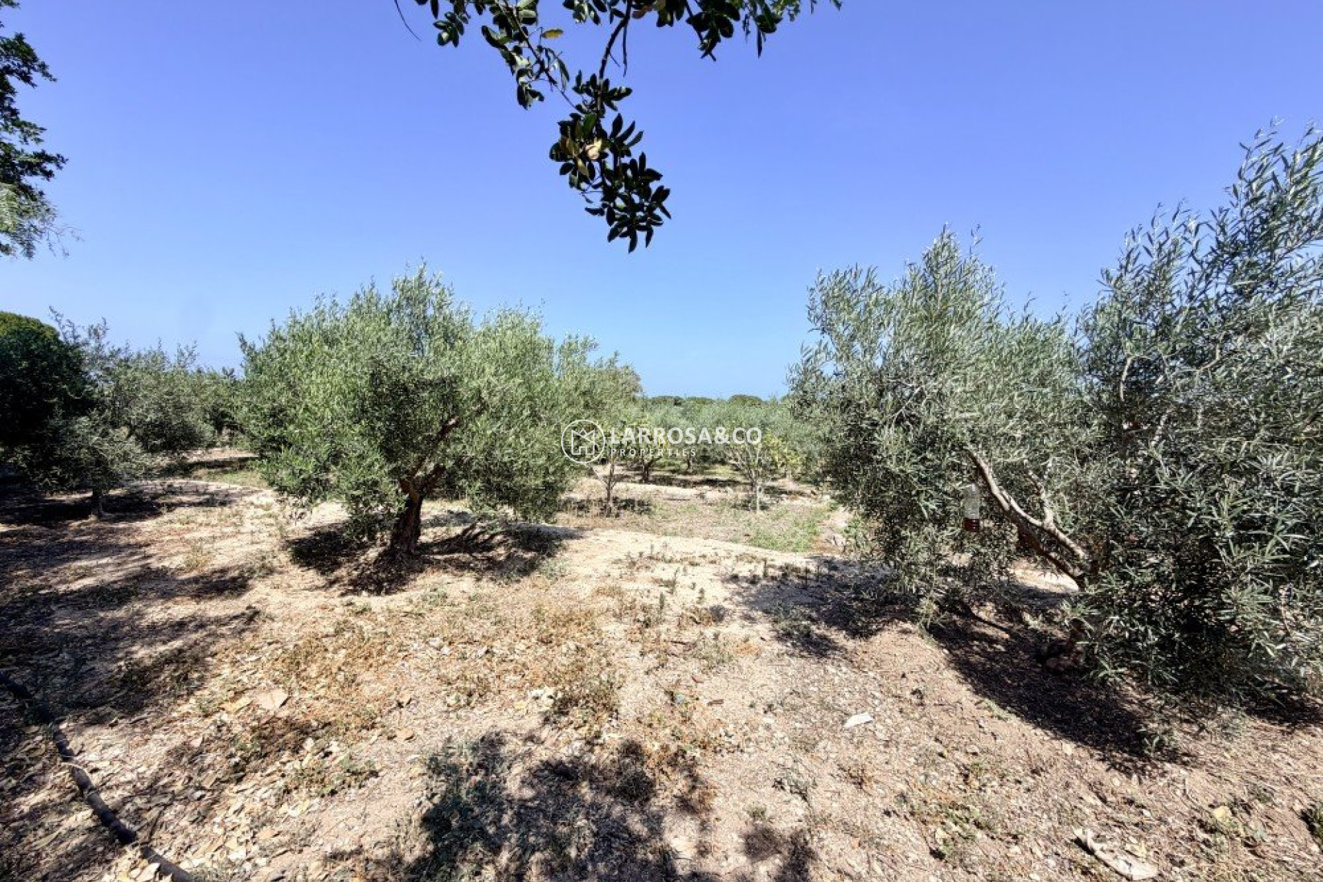 Reventa - Casa de campo - La Marina - Costa Blanca