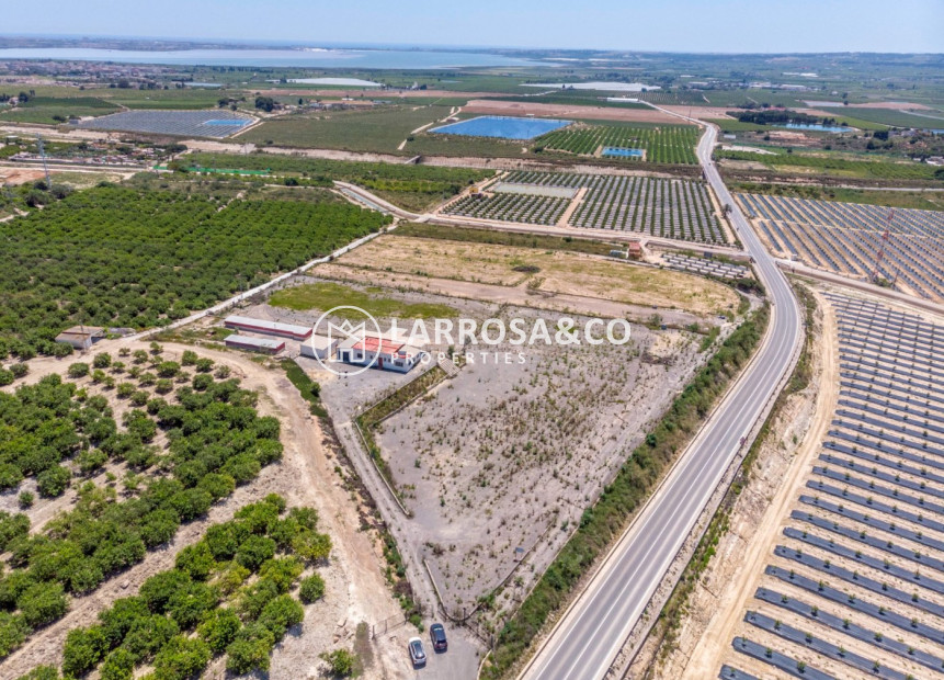 Reventa - Casa de campo - Los Montesinos - LOS MONTESINOS