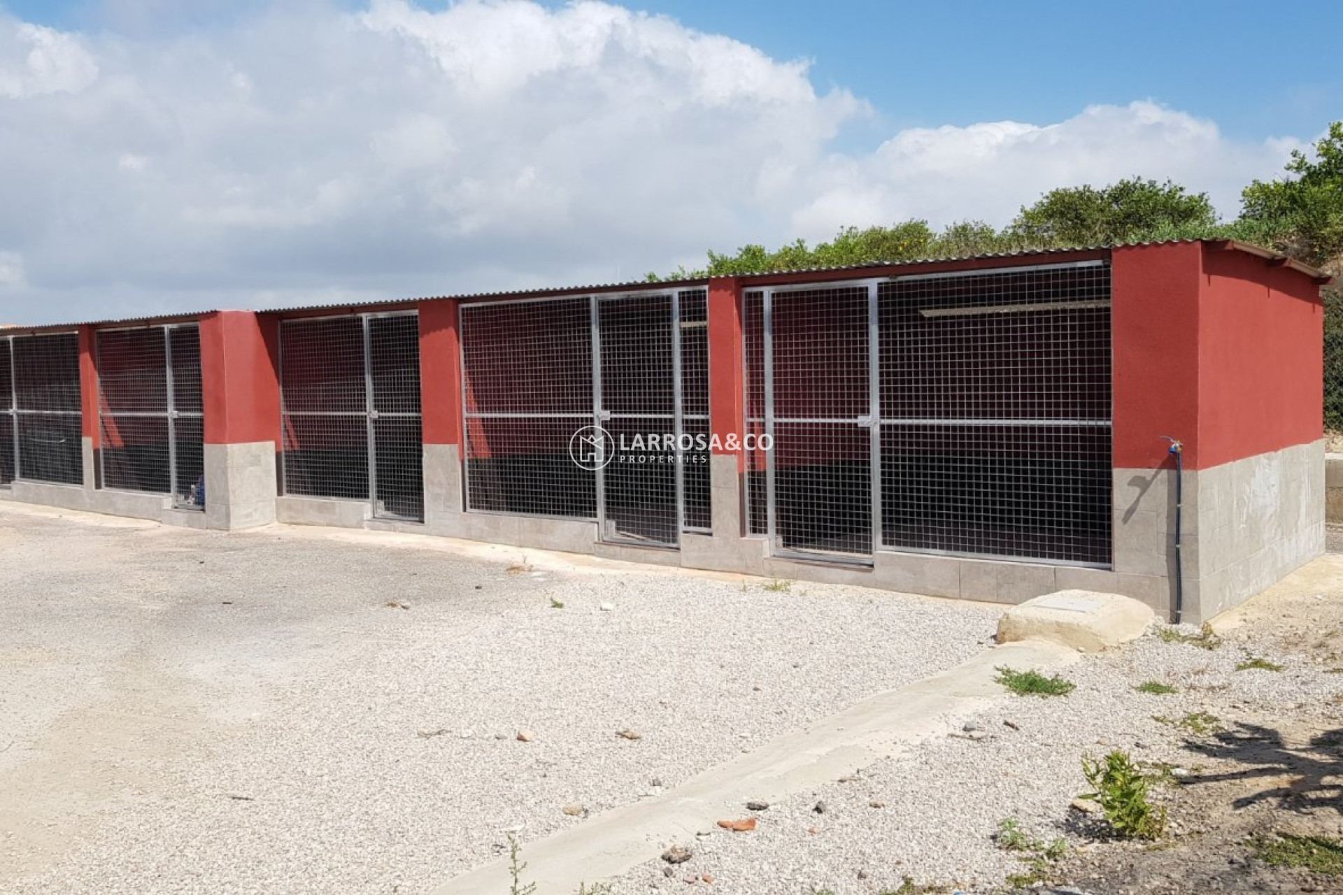 Reventa - Casa de campo - Los Montesinos - LOS MONTESINOS