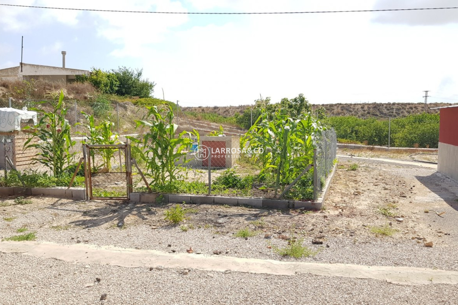 Reventa - Casa de campo - Los Montesinos - LOS MONTESINOS