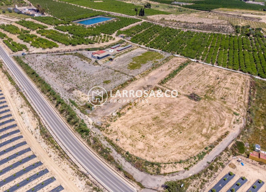 Reventa - Casa de campo - Los Montesinos - LOS MONTESINOS