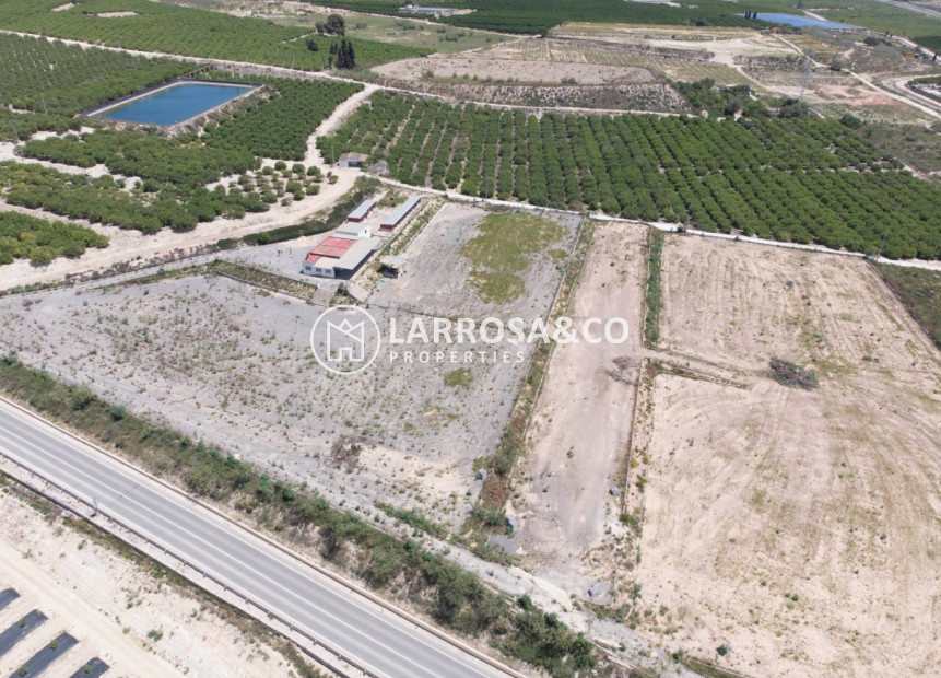 Reventa - Casa de campo - Los Montesinos - LOS MONTESINOS