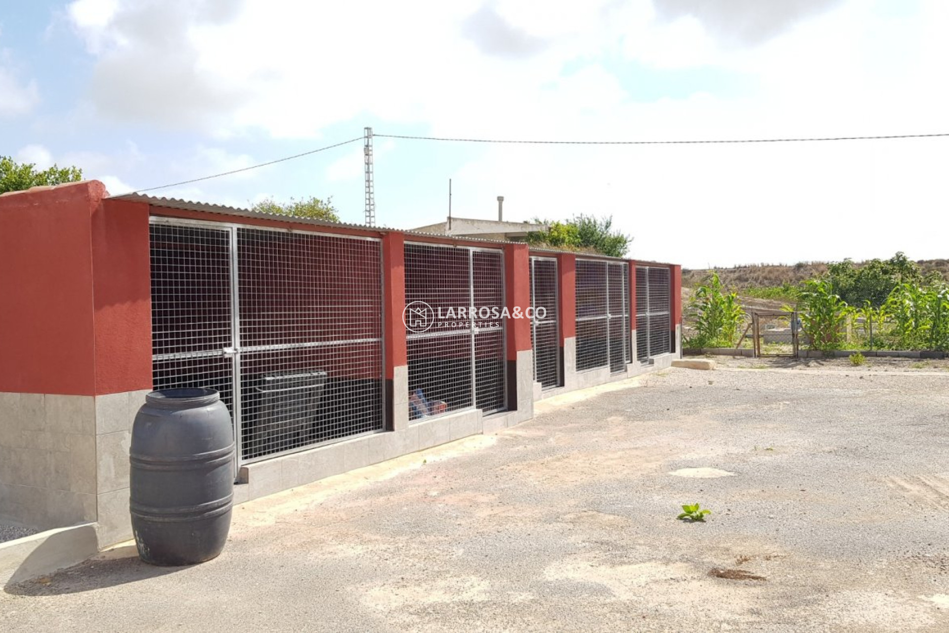 Reventa - Casa de campo - Los Montesinos - LOS MONTESINOS