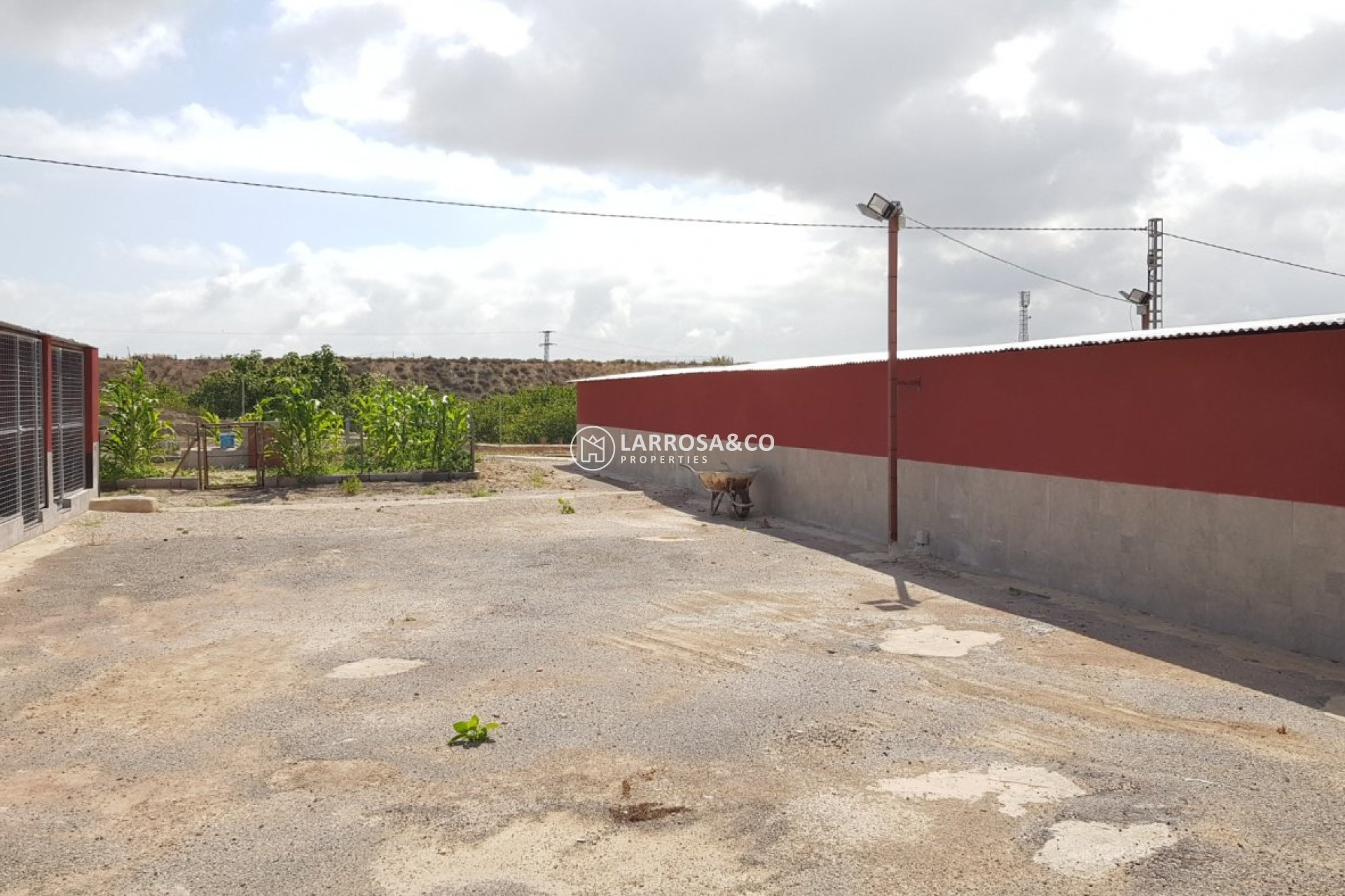 Reventa - Casa de campo - Los Montesinos - LOS MONTESINOS