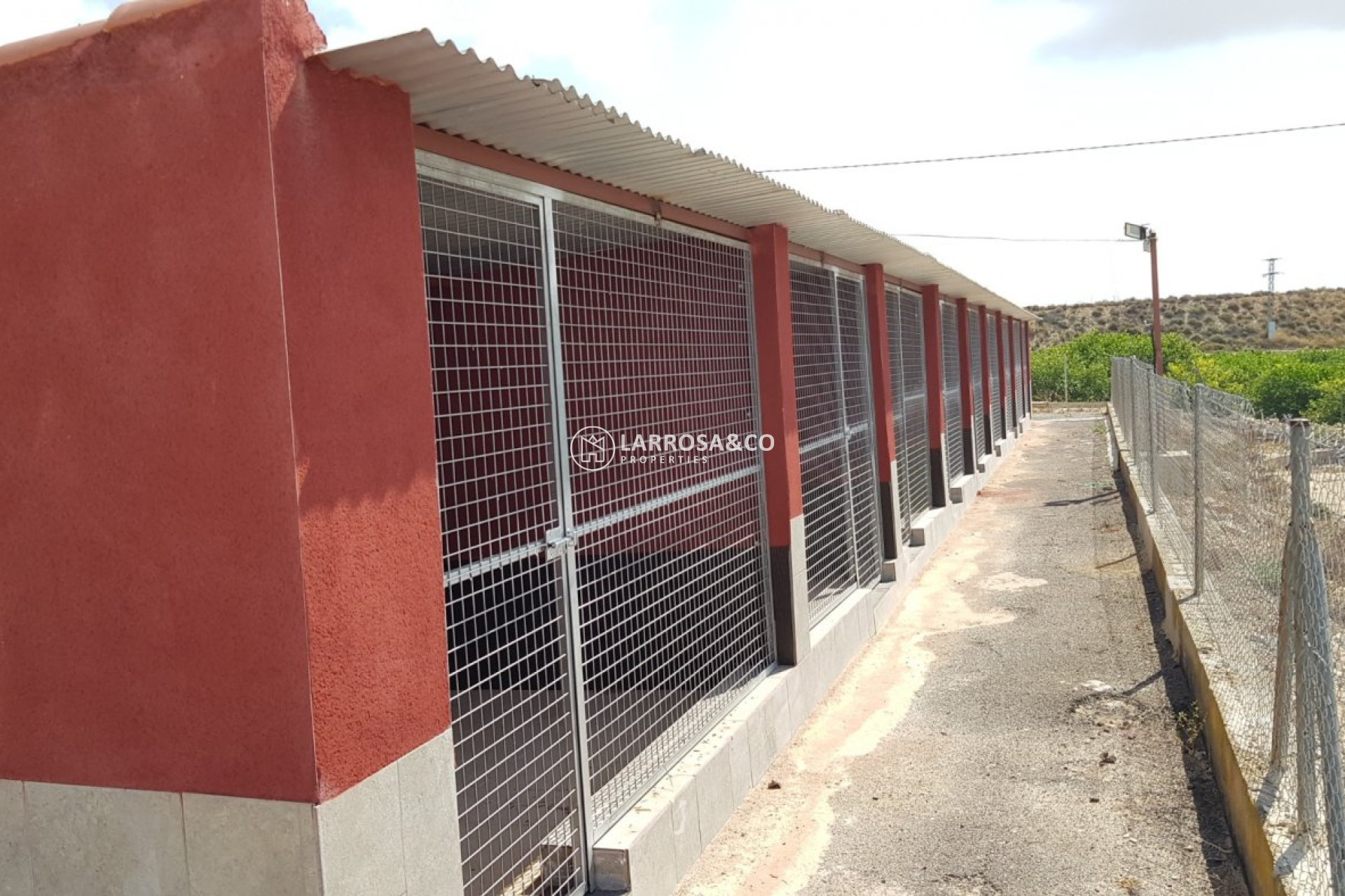 Reventa - Casa de campo - Los Montesinos - LOS MONTESINOS