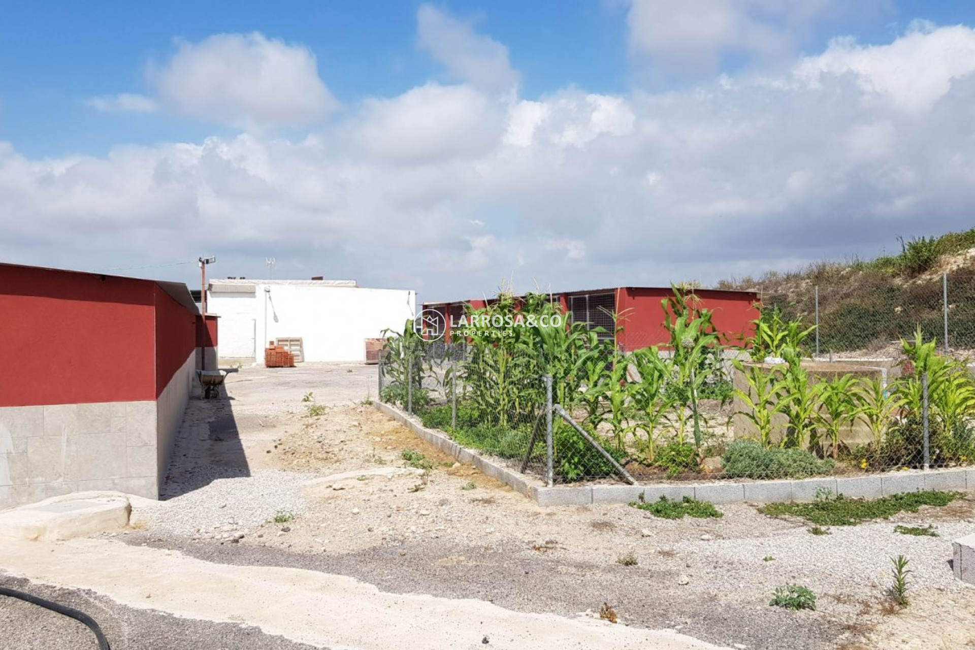 Reventa - Casa de campo - Los Montesinos - LOS MONTESINOS