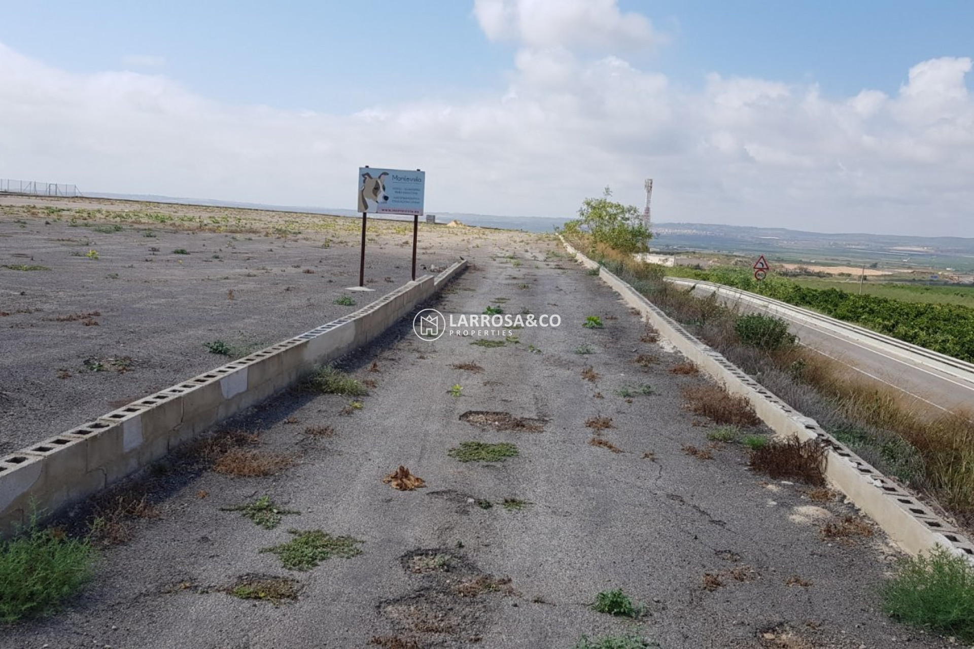 Reventa - Casa de campo - Los Montesinos - LOS MONTESINOS