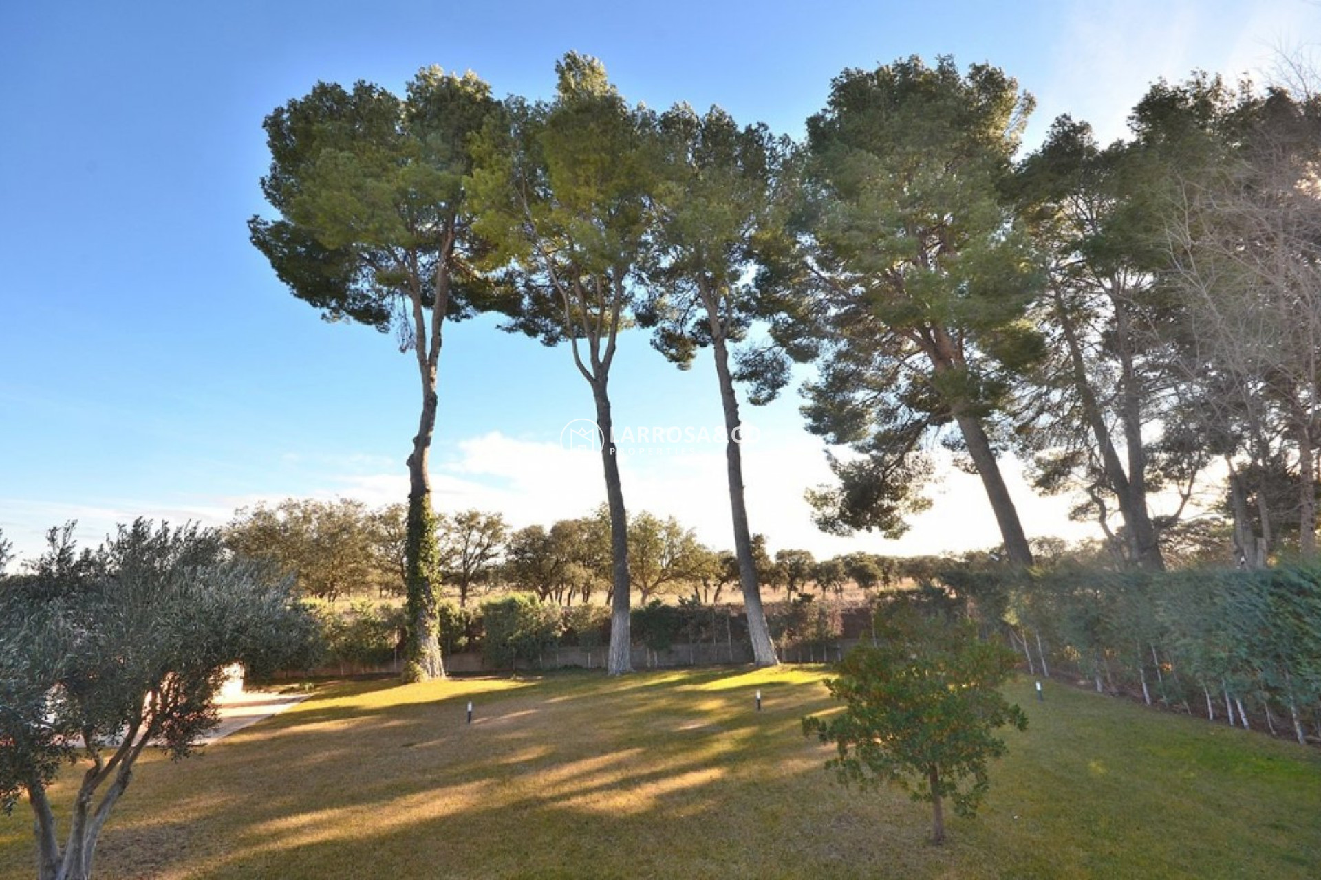 Reventa - Chalet - Albacete - Agua sol