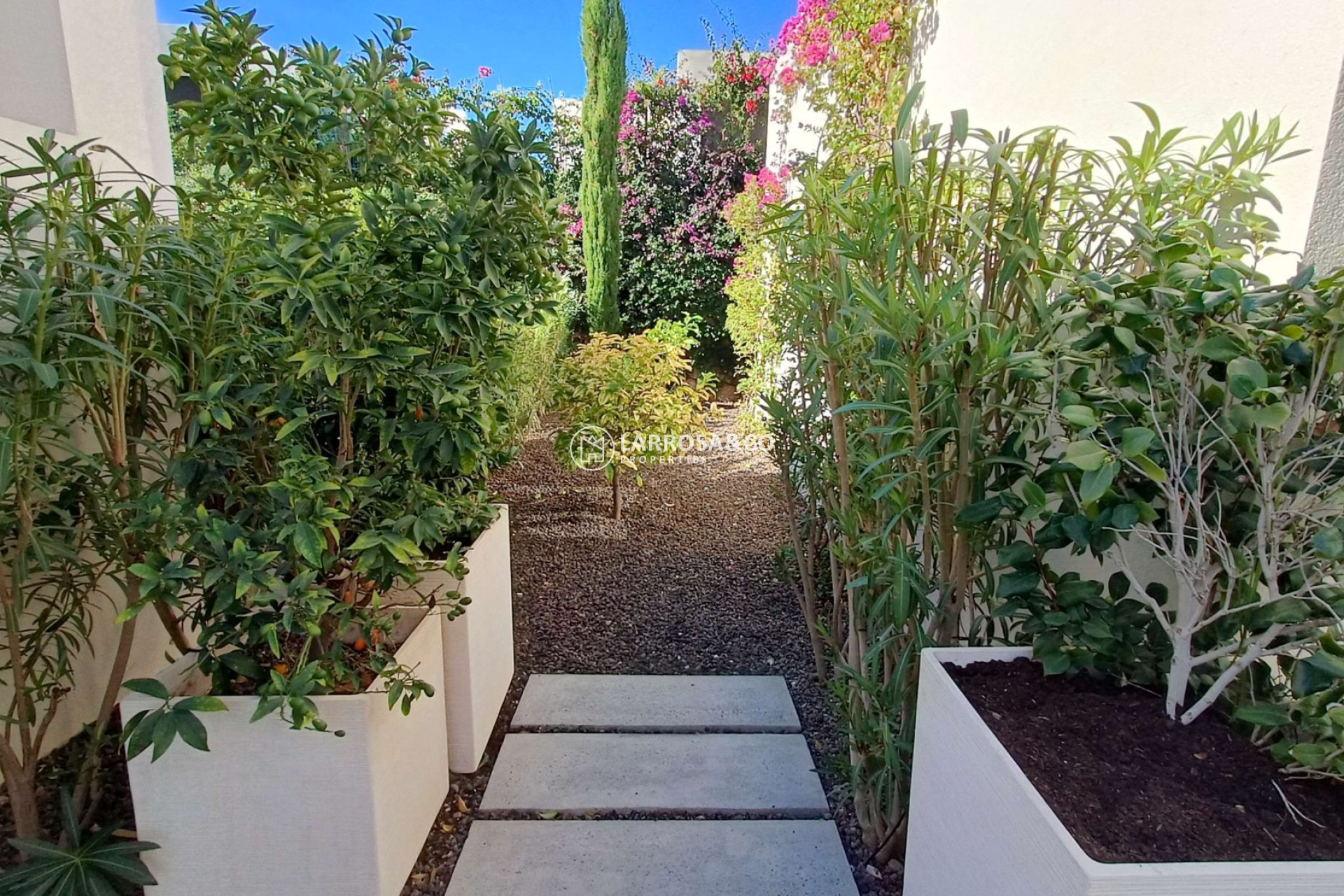 Reventa - Chalet - Algorfa - Inland