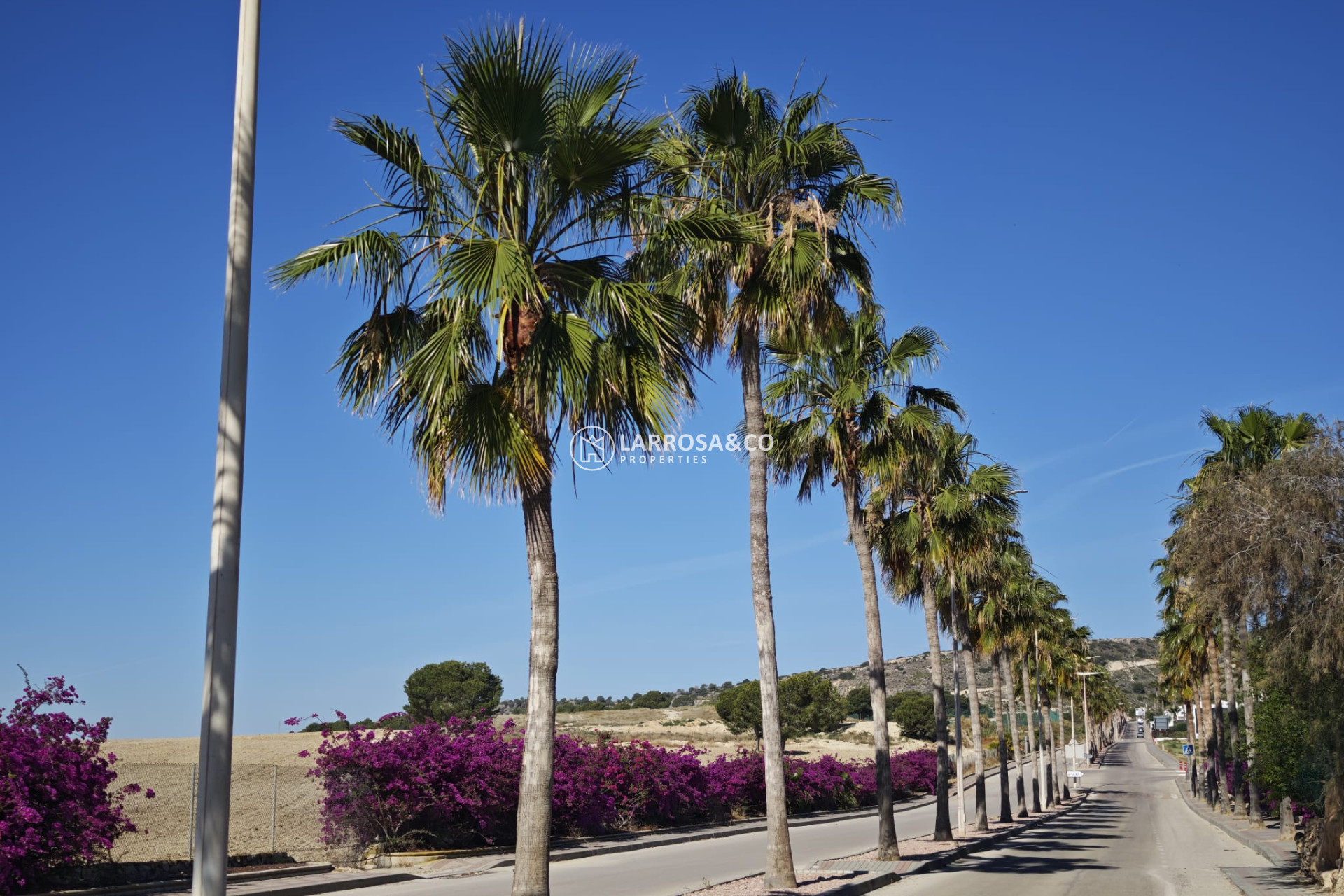 Reventa - Chalet - Algorfa - Inland