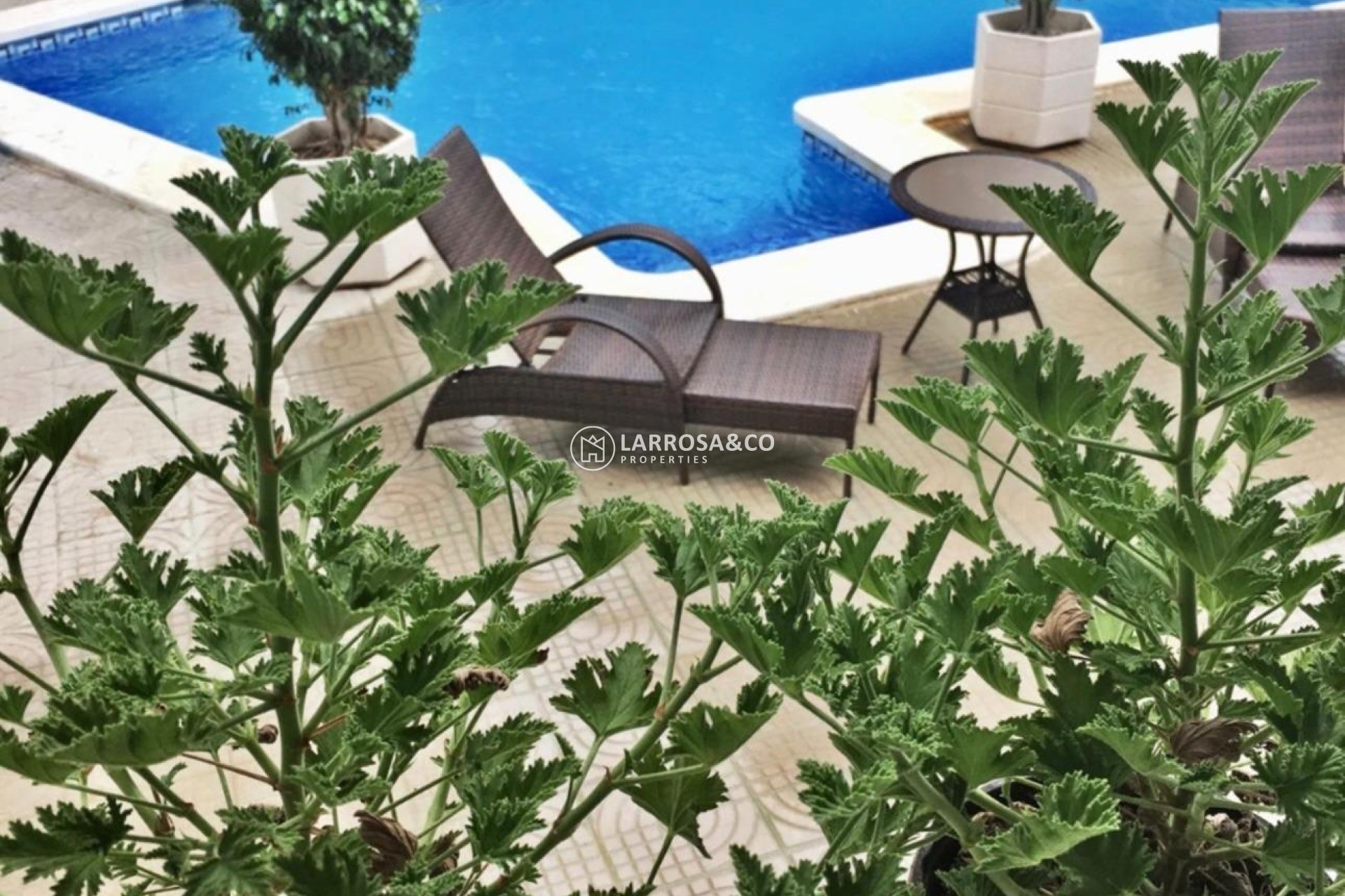 Reventa - Chalet - Ciudad Quesada - Ciudad Quesada - Doña Pepa