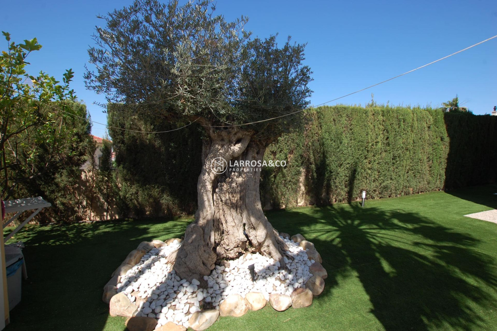 Reventa - Chalet - Ciudad Quesada - Costa Blanca