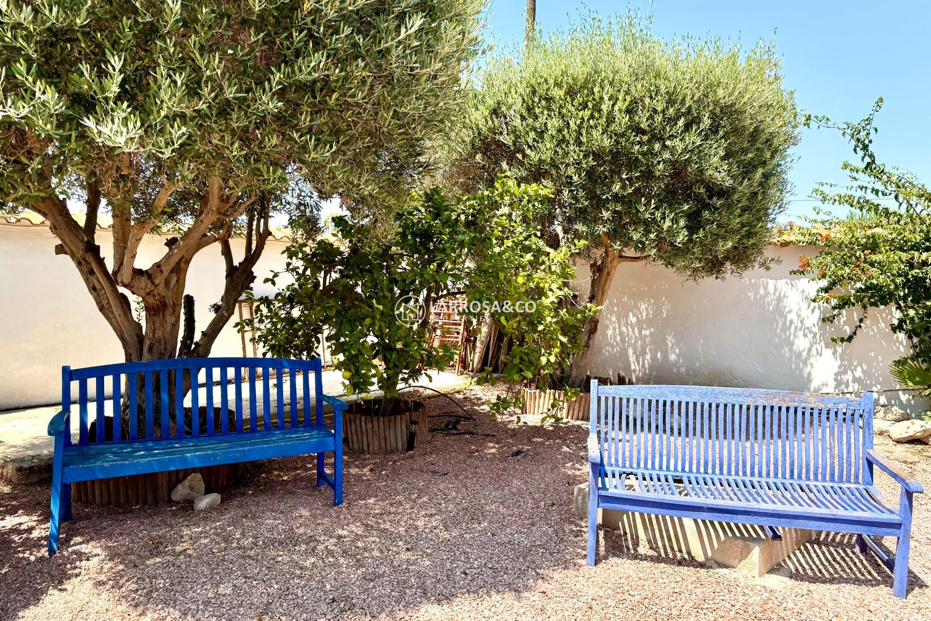 Reventa - Chalet - Dolores - Comunidad valenciana