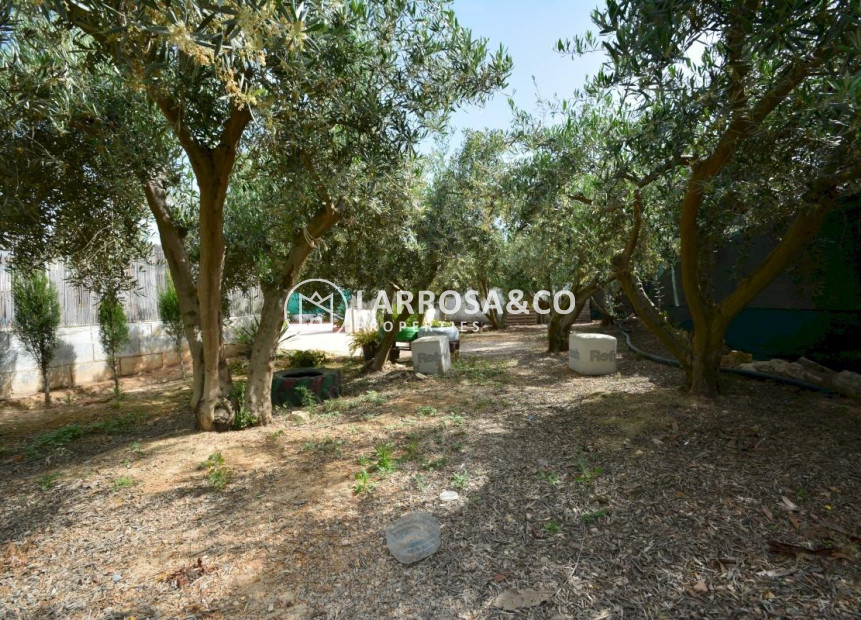 Reventa - Chalet - Guardamar del Segura - Campo de guardamar
