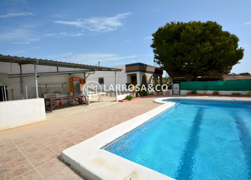 Reventa - Chalet - Guardamar del Segura - CAMPO