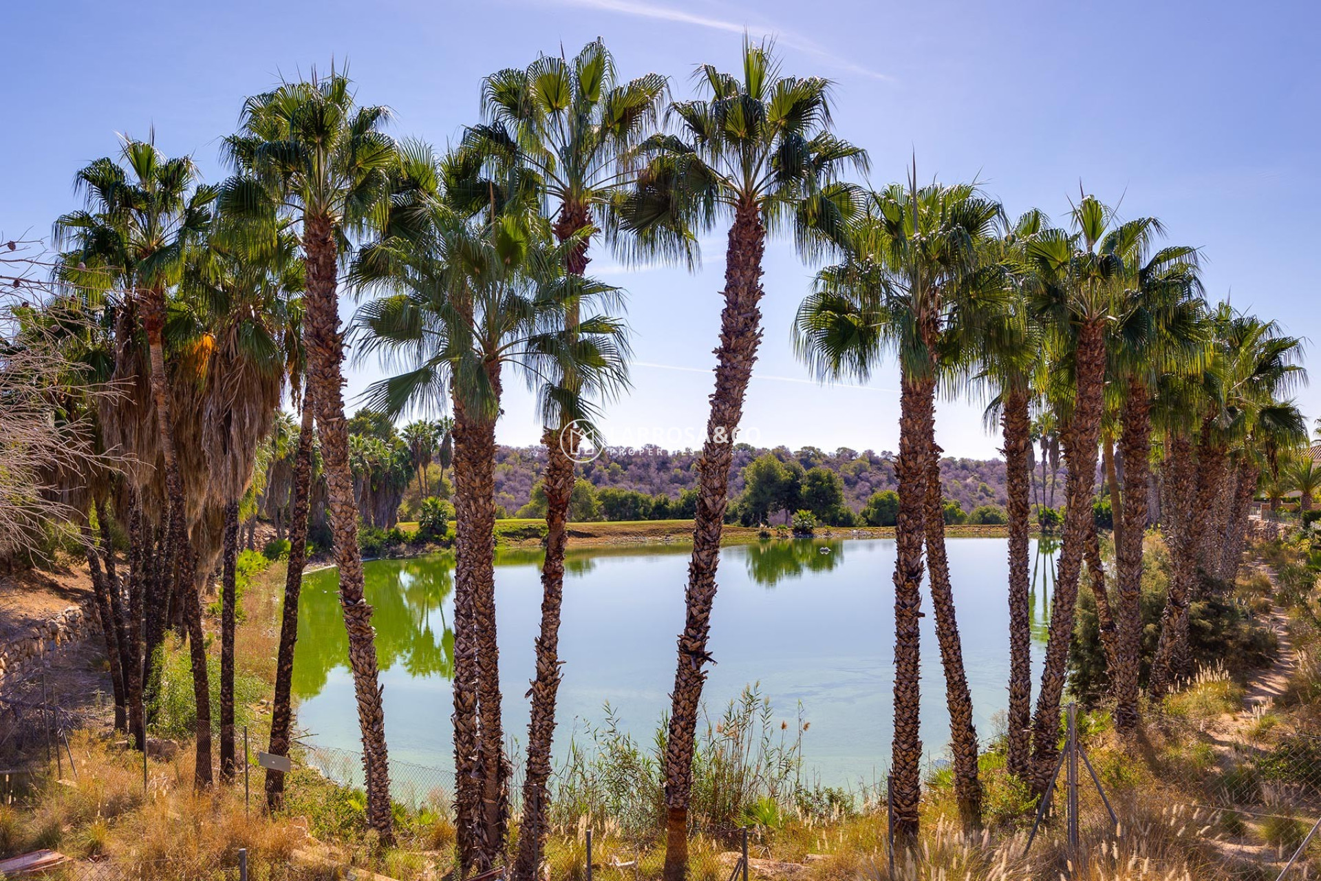 Reventa - Chalet - Orihuela costa - Costa Blanca