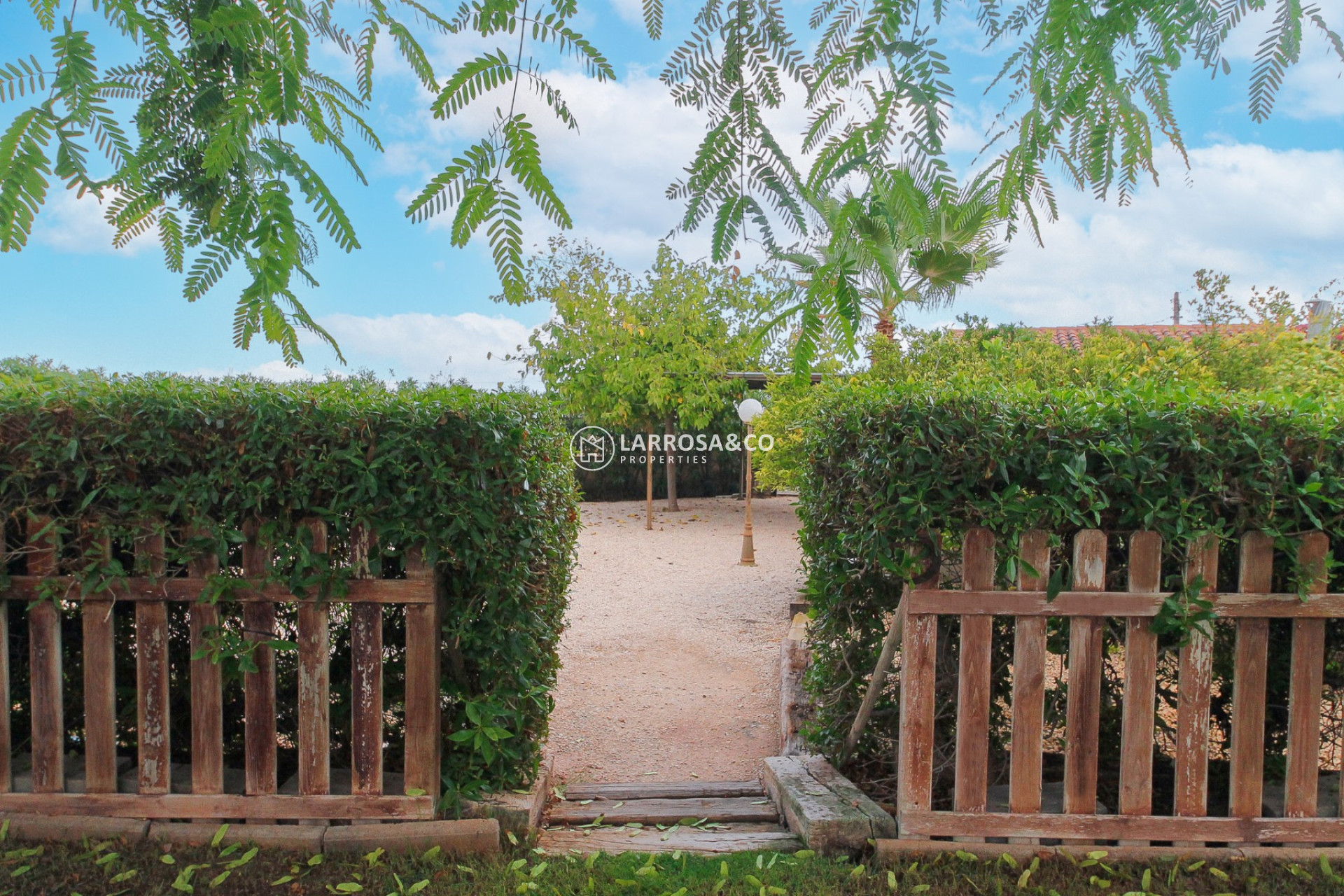 Reventa - Chalet - San Vicente del Raspeig - Inland