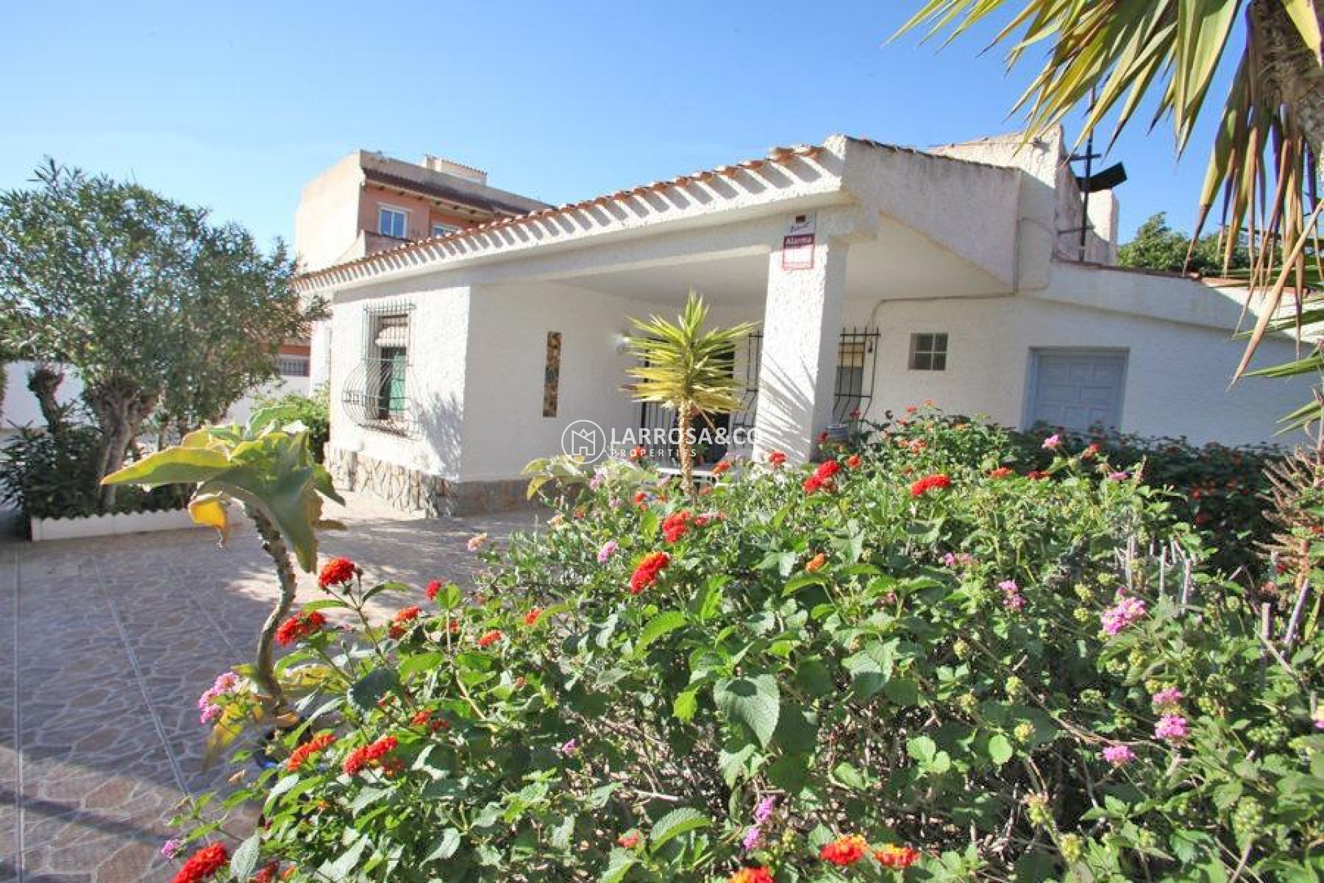 Reventa - Chalet - Torrevieja - Los Frutales