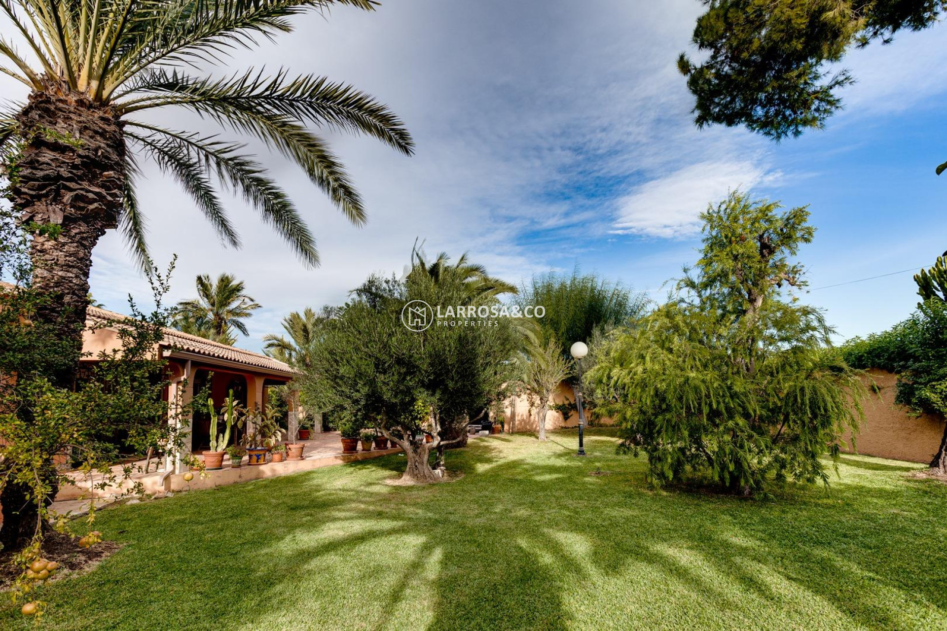 Reventa - Chalet - Torrevieja - San luis