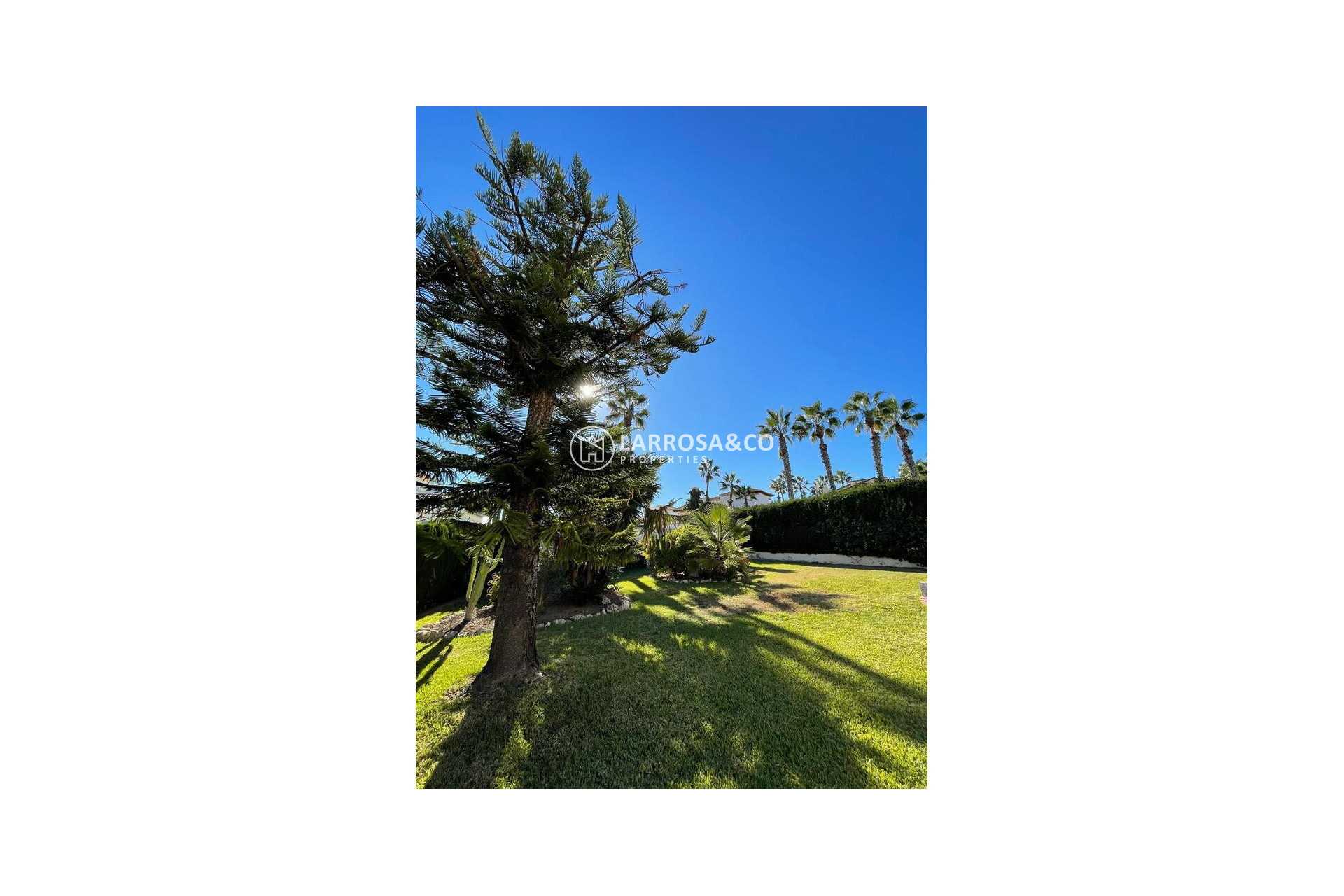 Reventa - Chalet - Villamartín - Costa Blanca