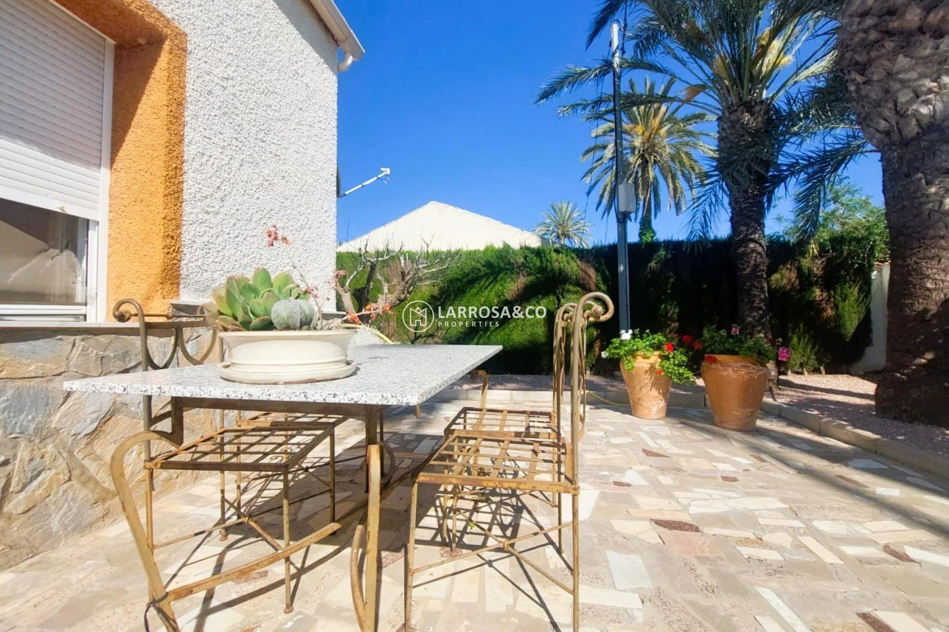 Reventa - Finca - La Marina - Costa Blanca