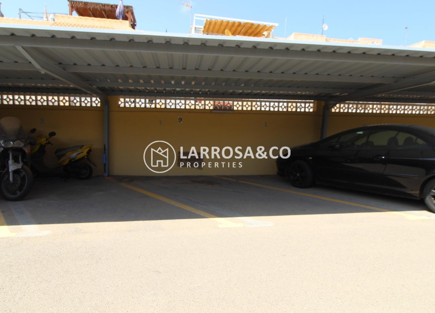 Reventa - Garaje - Torrevieja - Parque las naciones