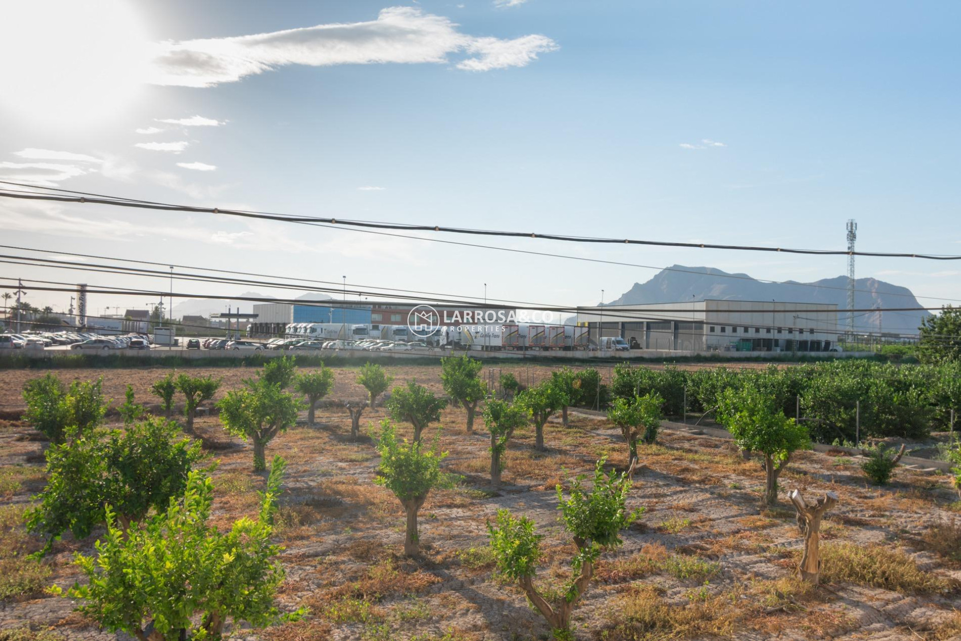 Reventa - Industrial - Benejúzar - Comunidad valenciana